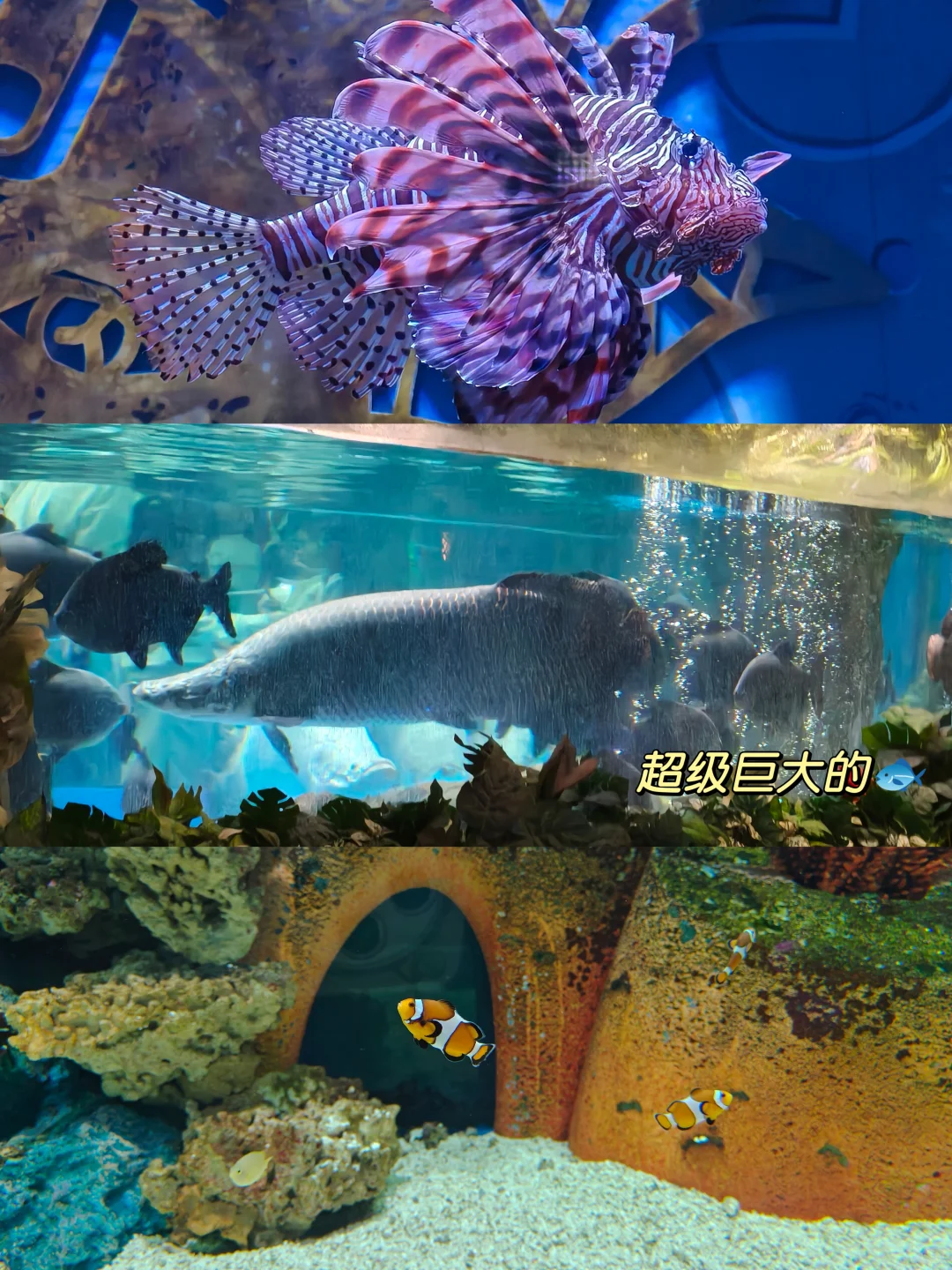 济南两天一夜旅游攻略