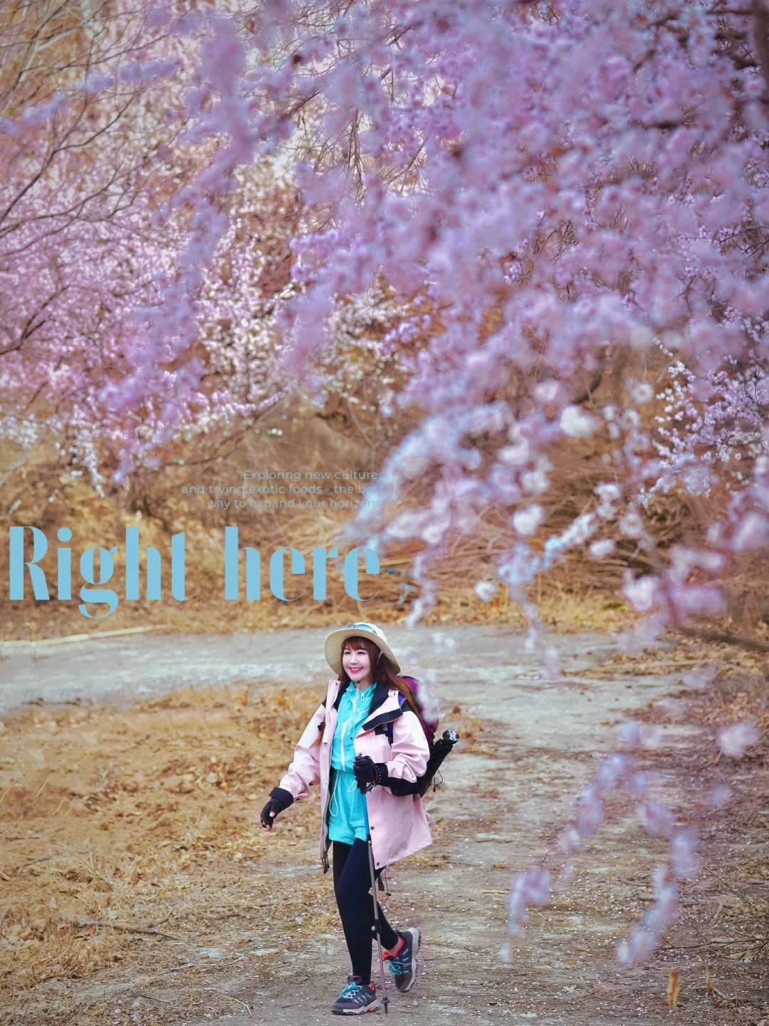 北京踏春🌸11个老幼赏花登山步道🍃不费腿