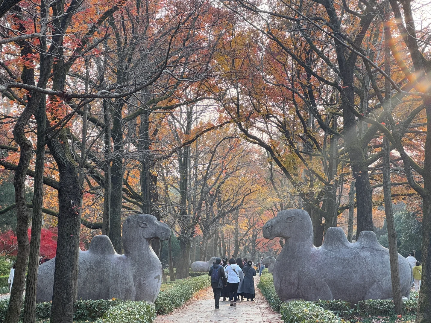 📍南京|一个人72小时特种兵攻略‼️