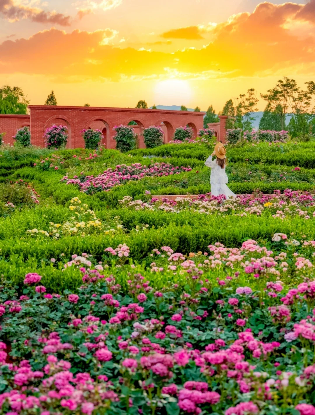 人生建议：春天一定要去趟昆明！附赏花攻略💐