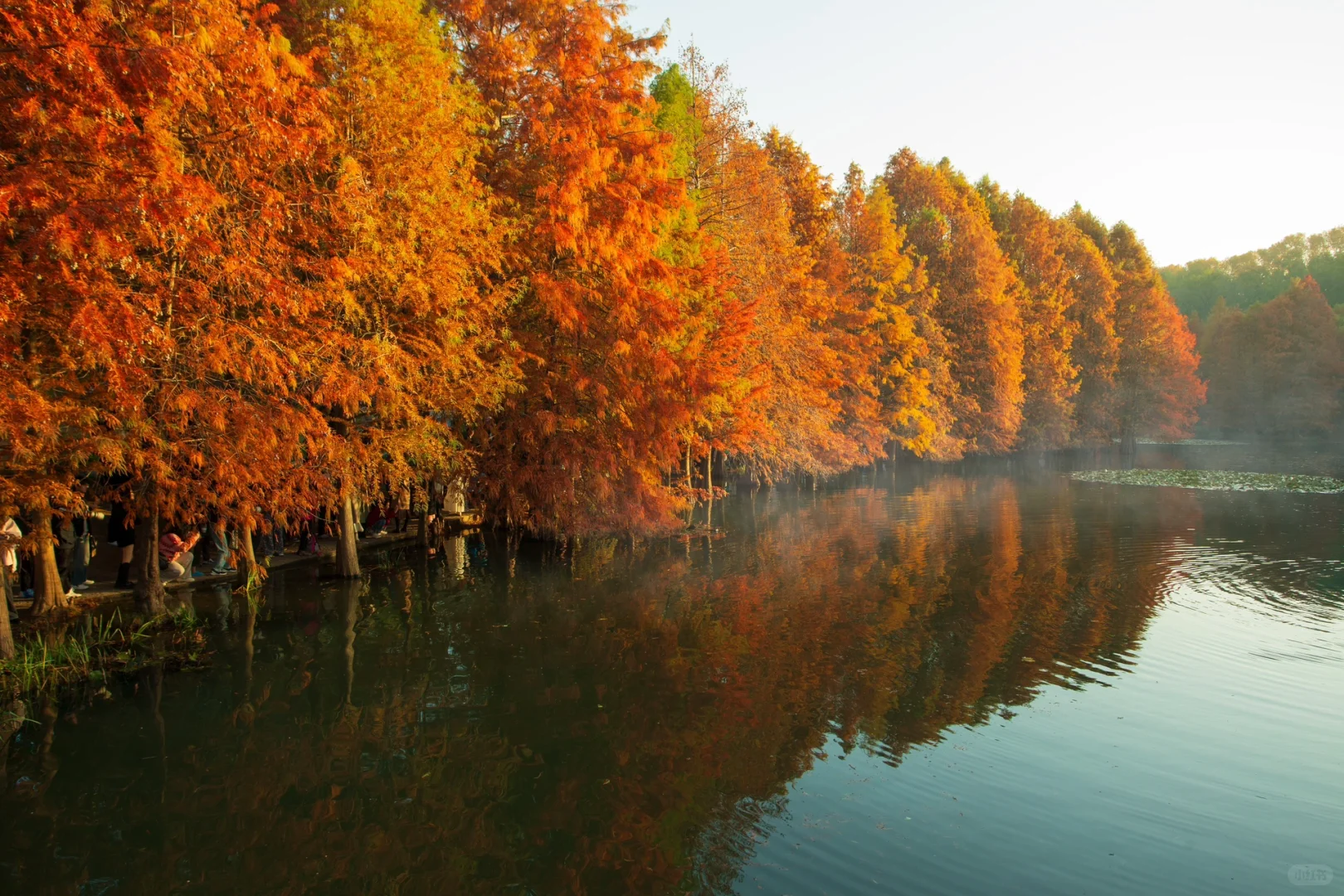 📍南京|一个人72小时特种兵攻略‼️