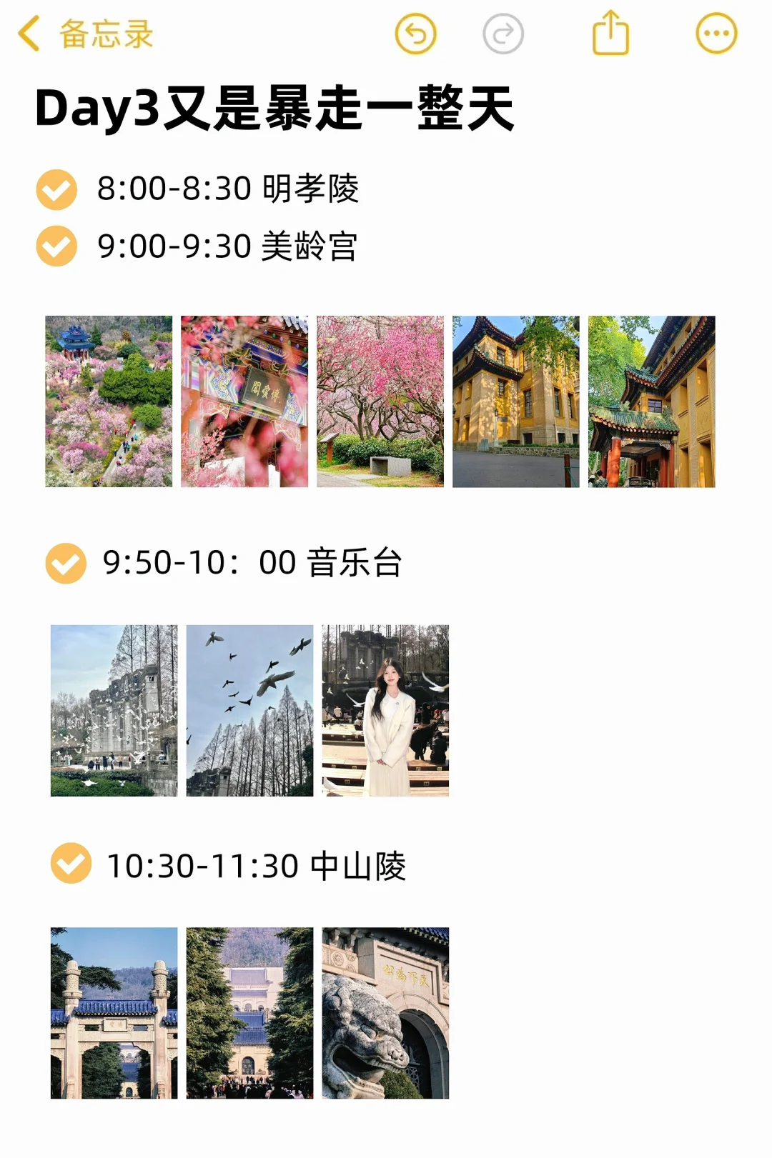 对自己的南京拍照攻略满意到睡不着!附路线