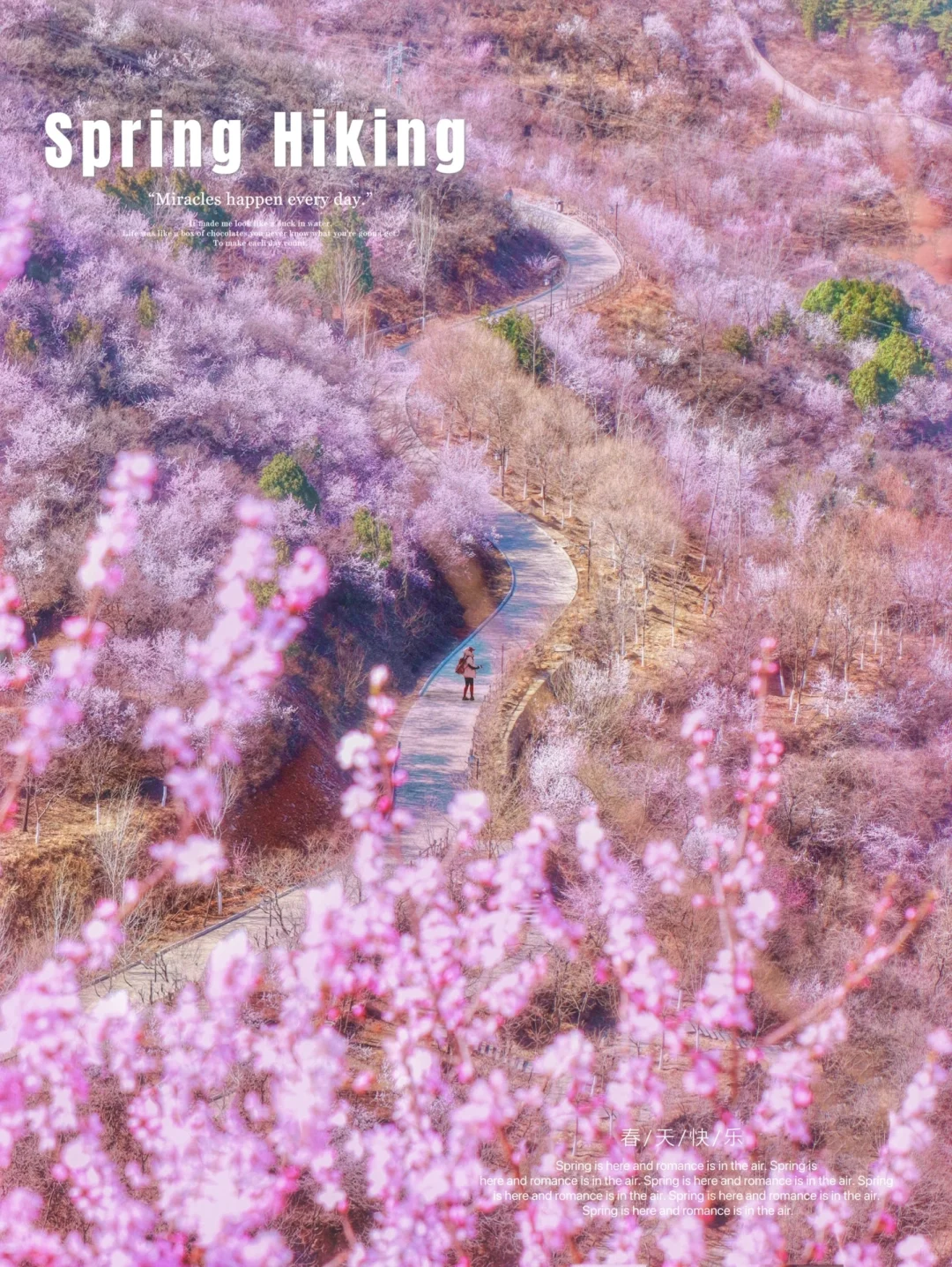 北京踏春🌸11个老幼赏花登山步道🍃不费腿