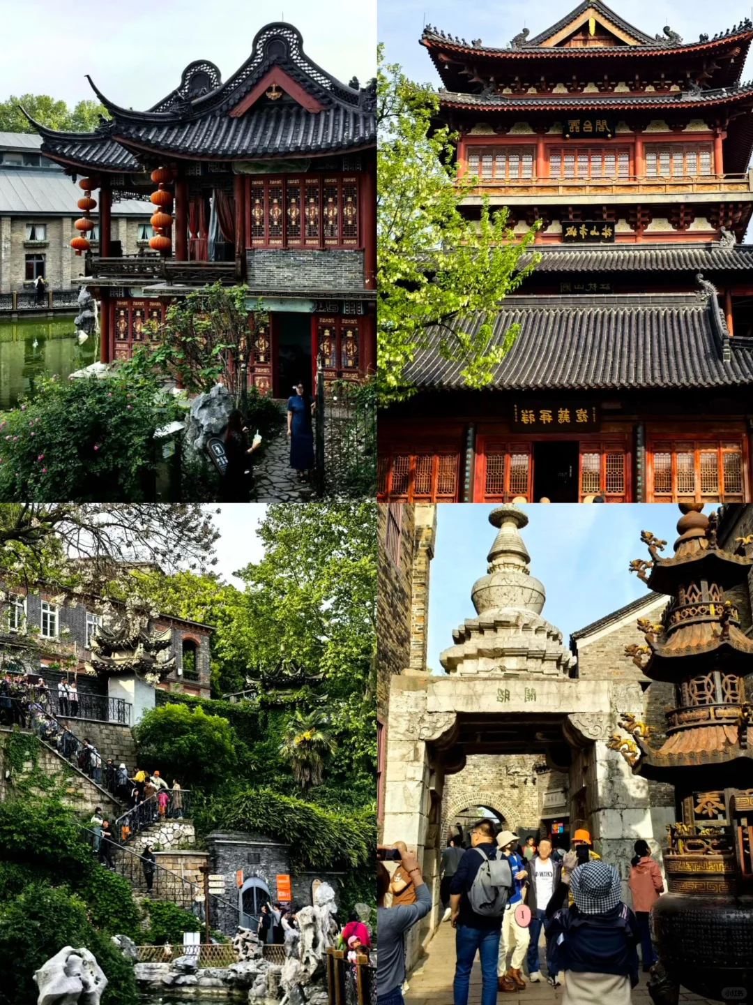 🌈镇江| 3-4月来真的很香，人少景美！