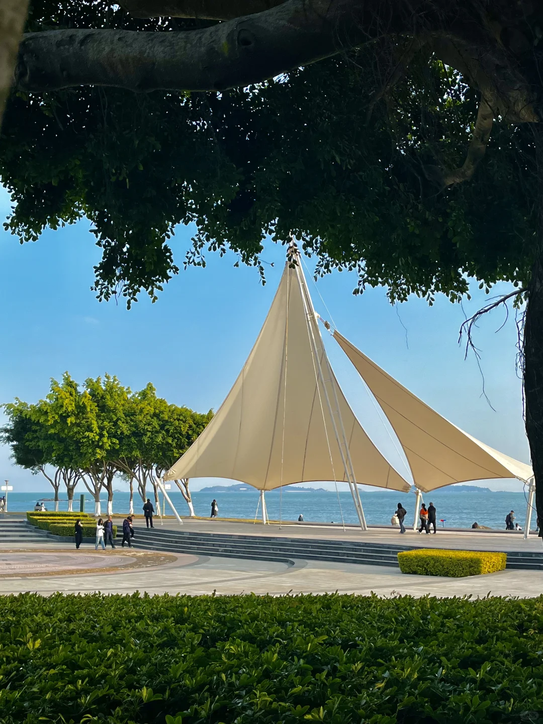 来厦门记得去！！海边citywalk美疯了（路线）