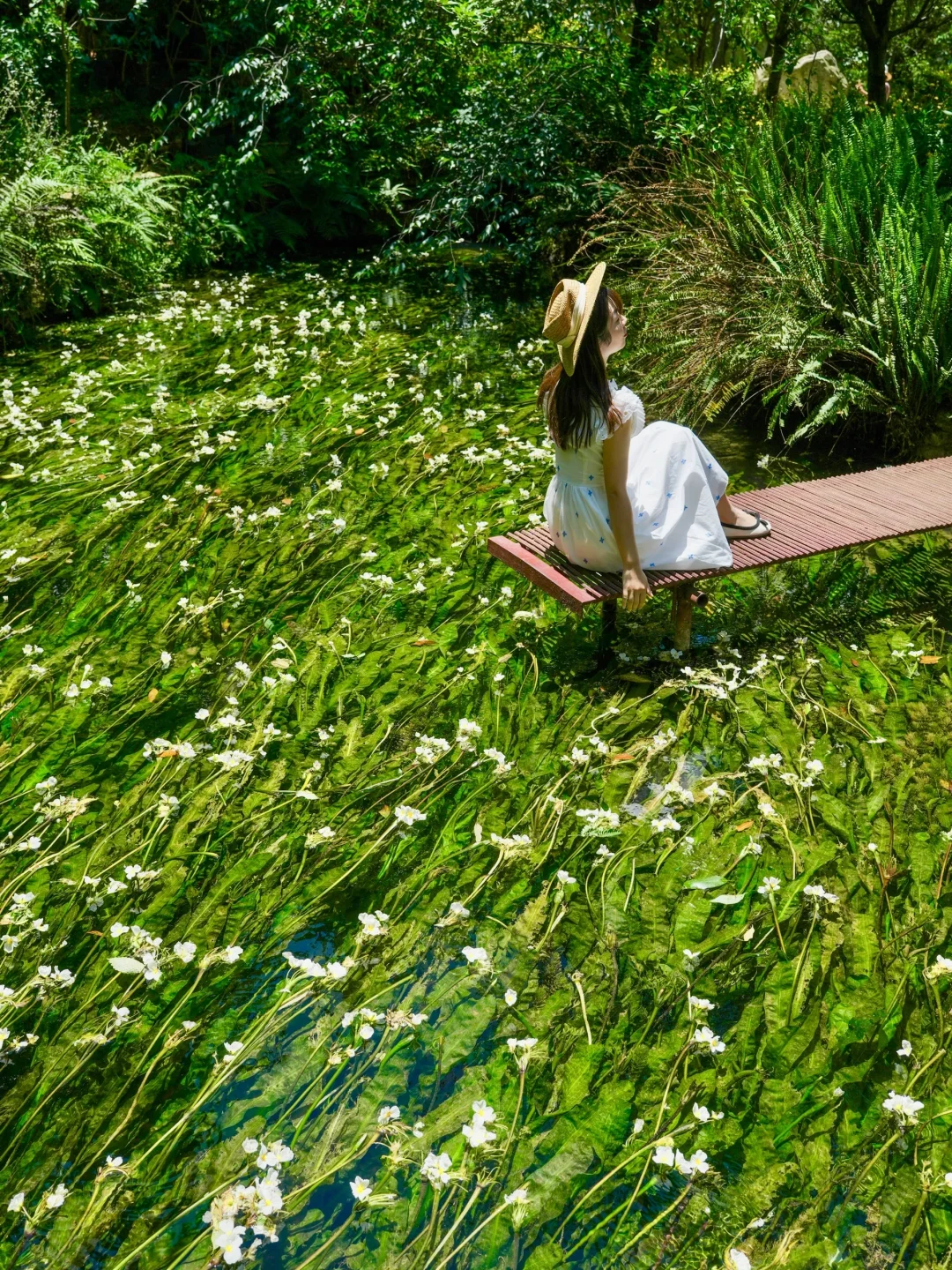 人生建议：春天一定要去趟昆明！附赏花攻略💐