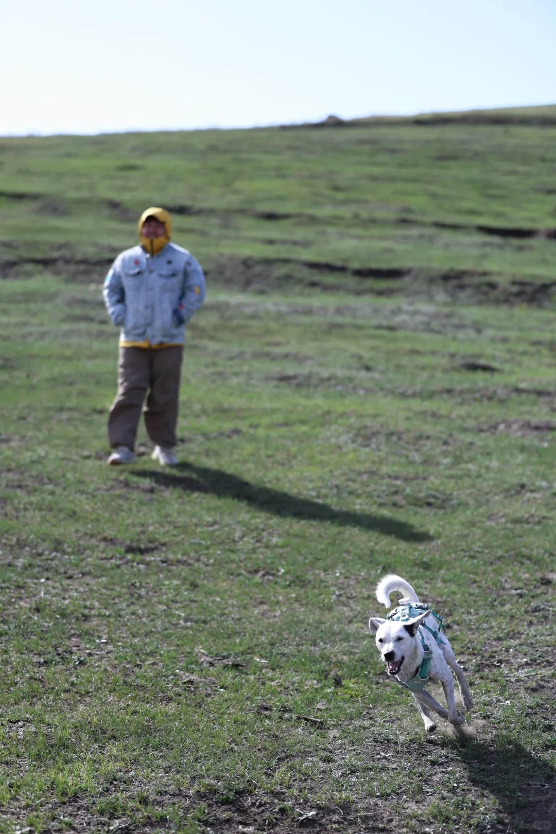 乌兰察布红石崖|整个景区只有我们的快乐