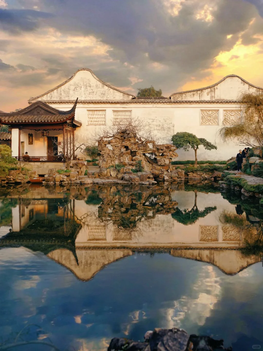 苏州春天的浪漫🌸不止公园！更是满大街小巷！