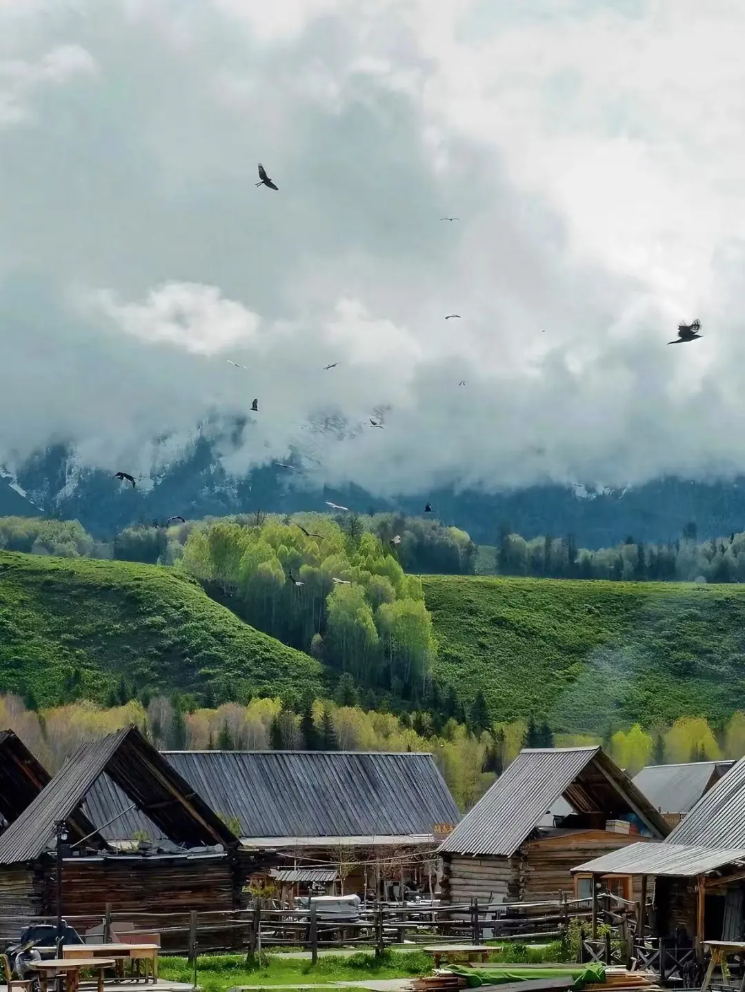 3-5月新疆伊犁旅游攻略 (含行程线路❗伊