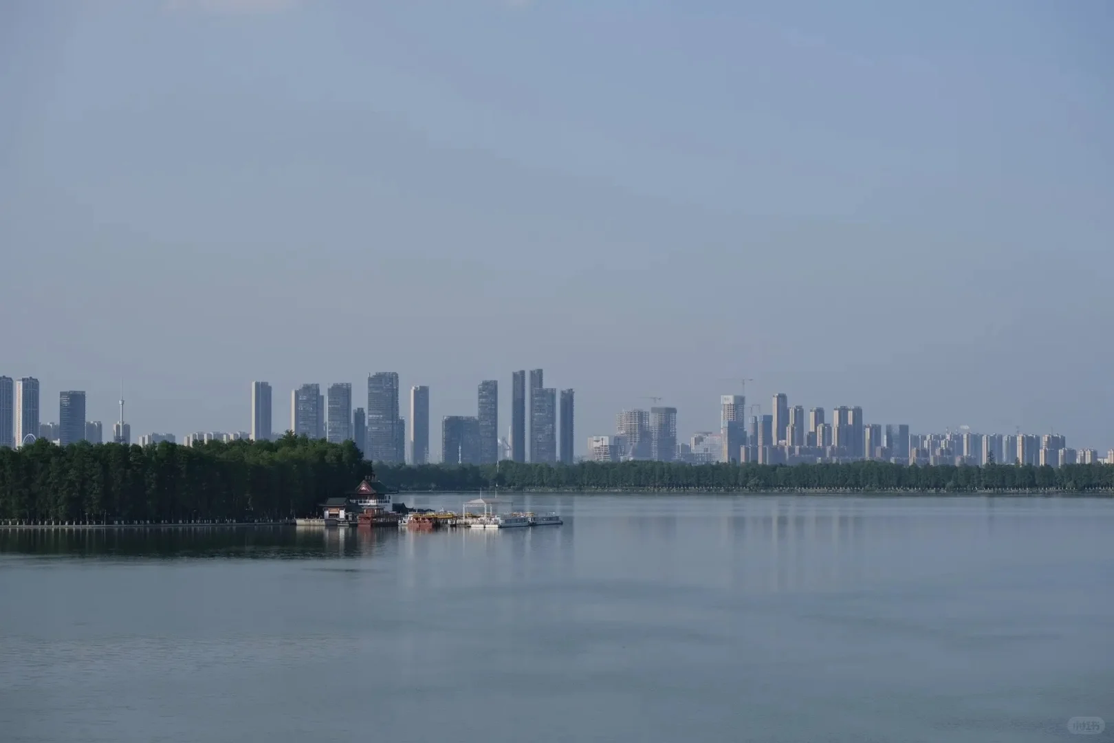 ｜武汉东湖公园｜现实版的“暮光森林”