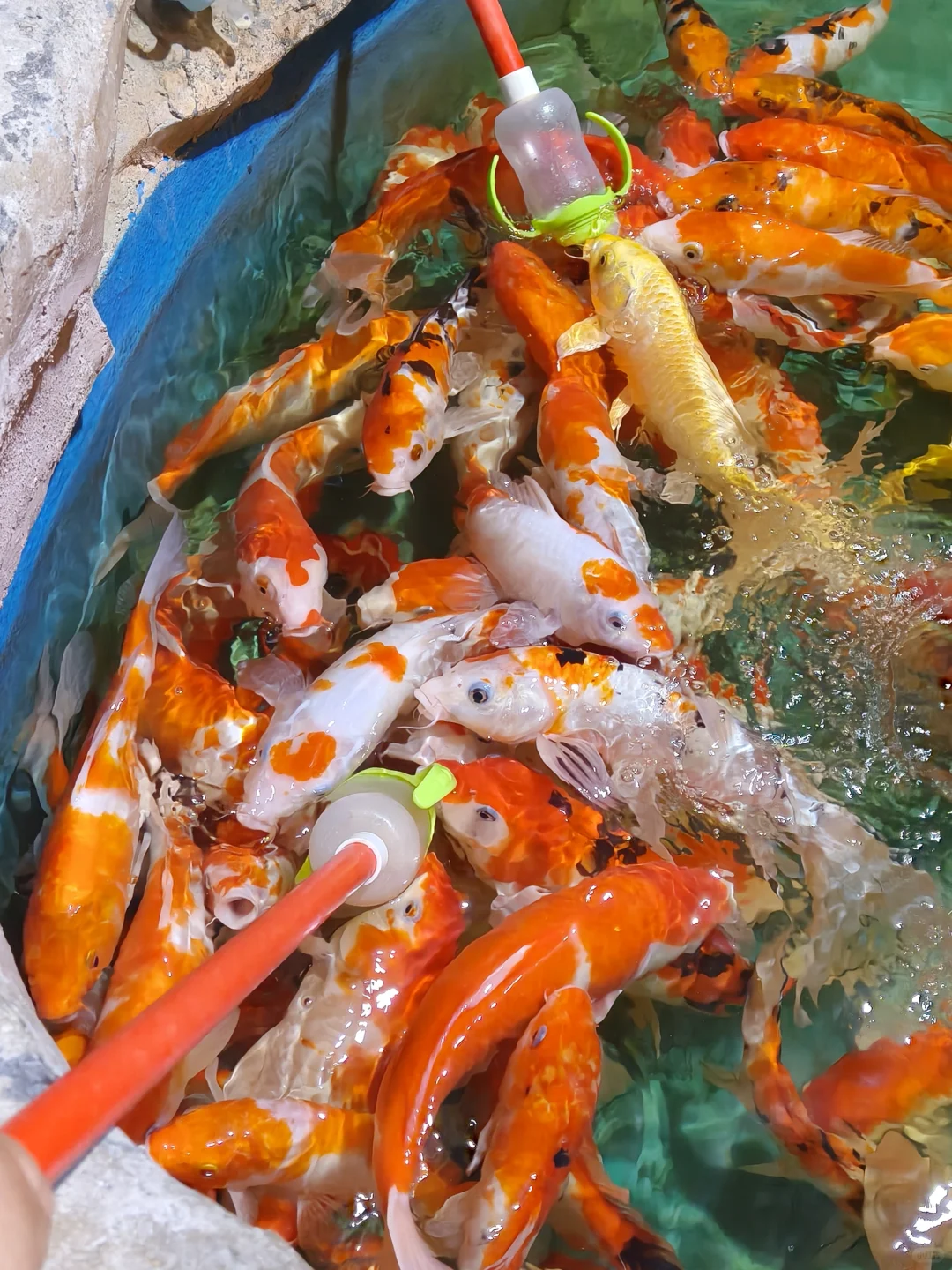 济南两天一夜旅游攻略