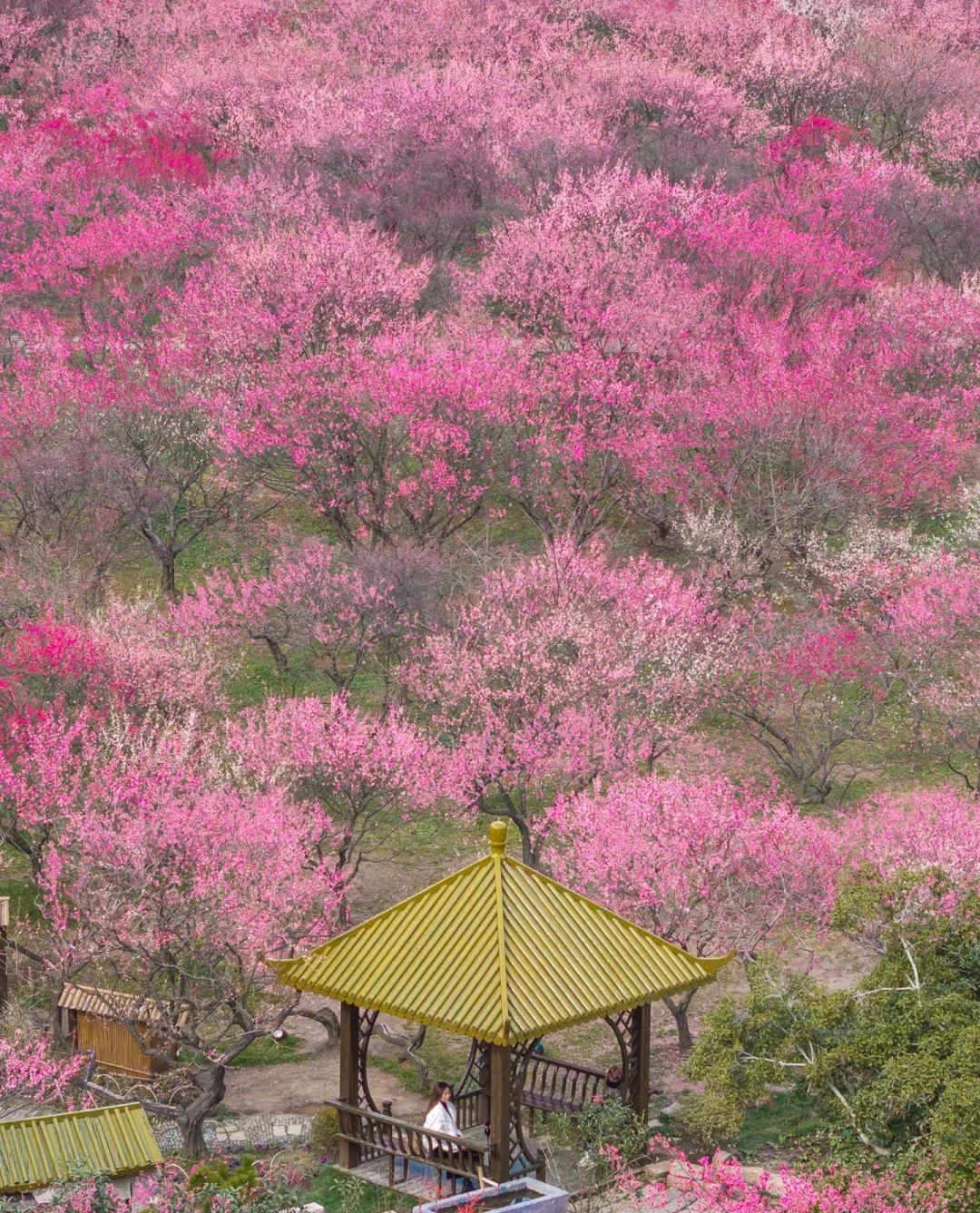 🔥无锡必打卡十大景点！本地人私藏攻略，