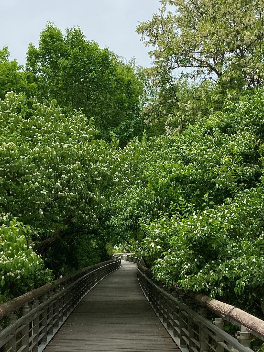 济南。。。果然最牛逼的地方都是免费的！（合集）