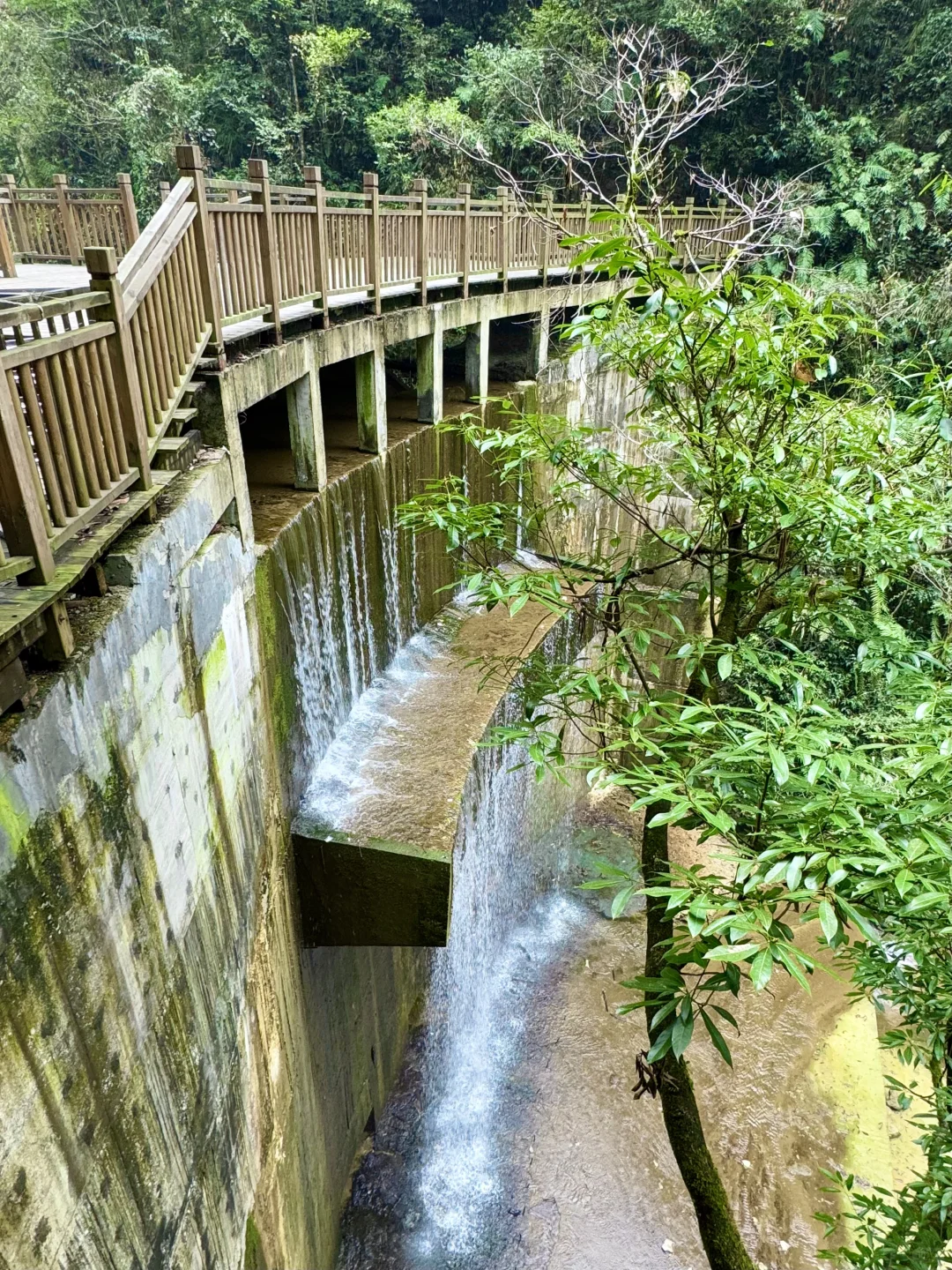 大峡谷真的是张家界最值得去的景区！（live图