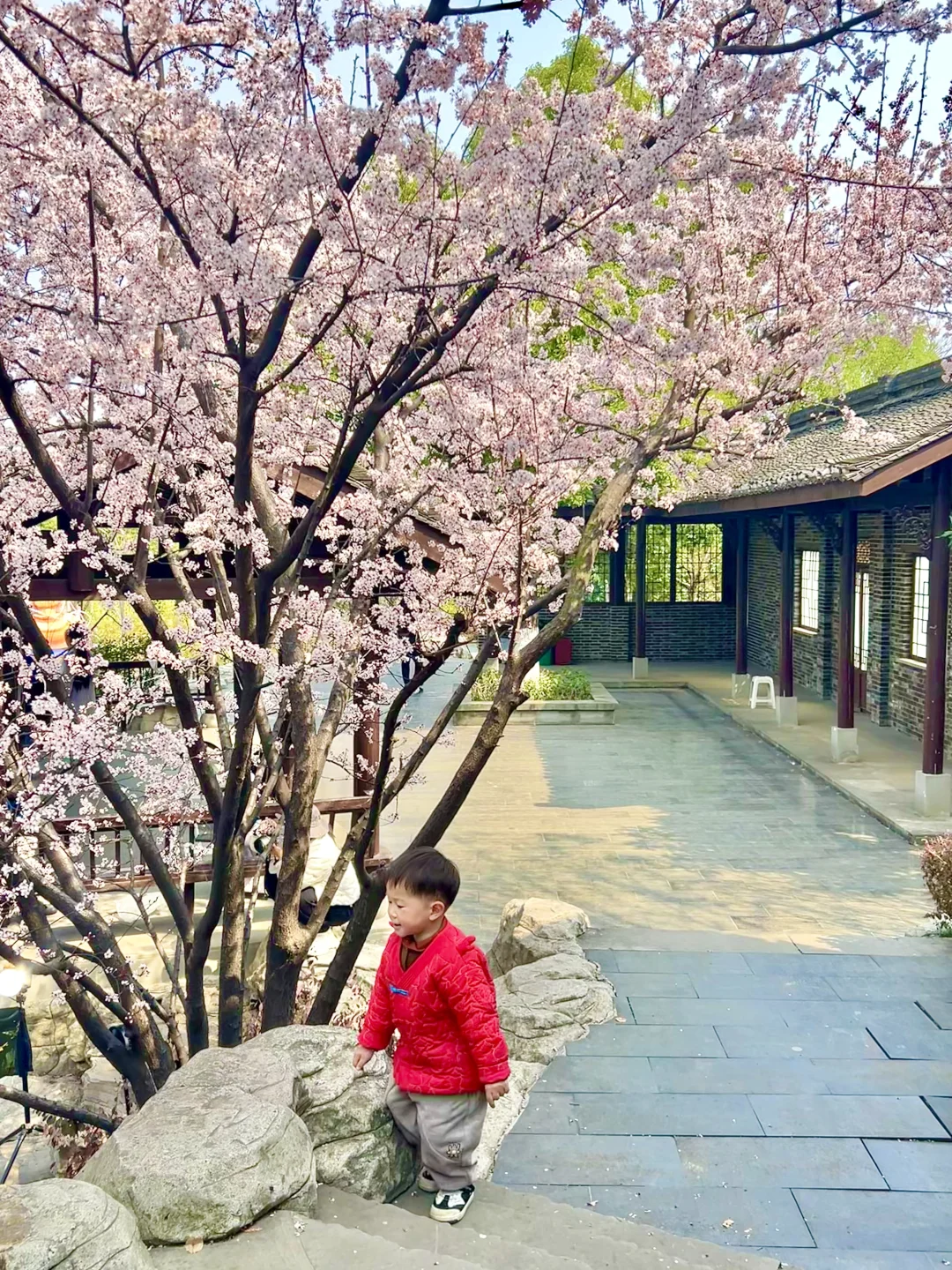 巨新‼️别去东湖樱园人挤人了🌸这里更好拍