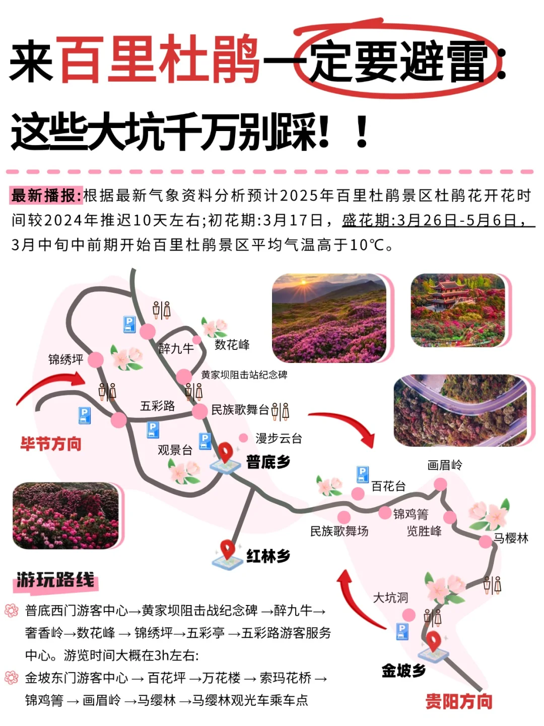 听劝👂🏼不做攻略千万别来百里杜鹃‼️