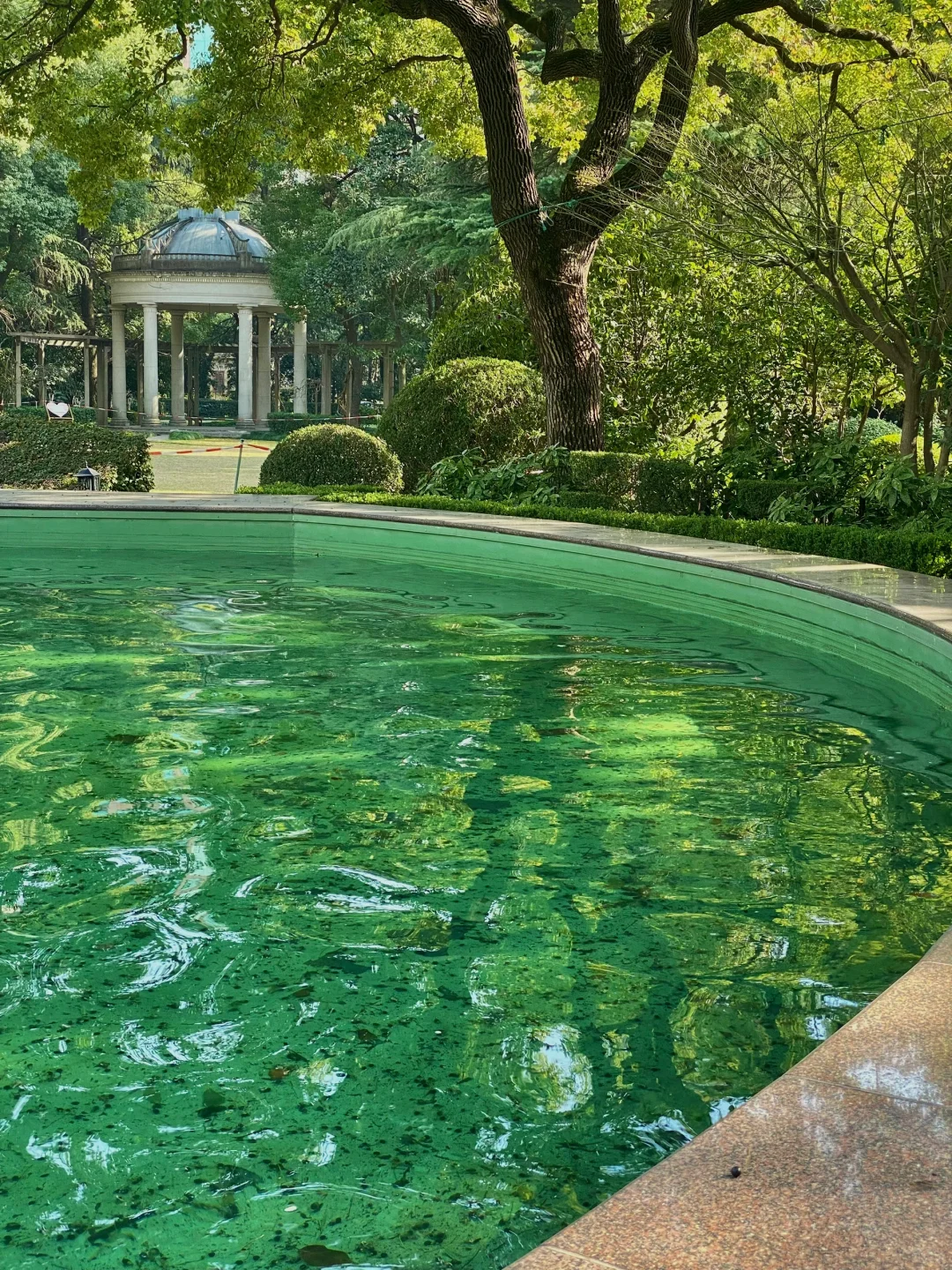 为了这18张live图 我专门飞了趟上海...