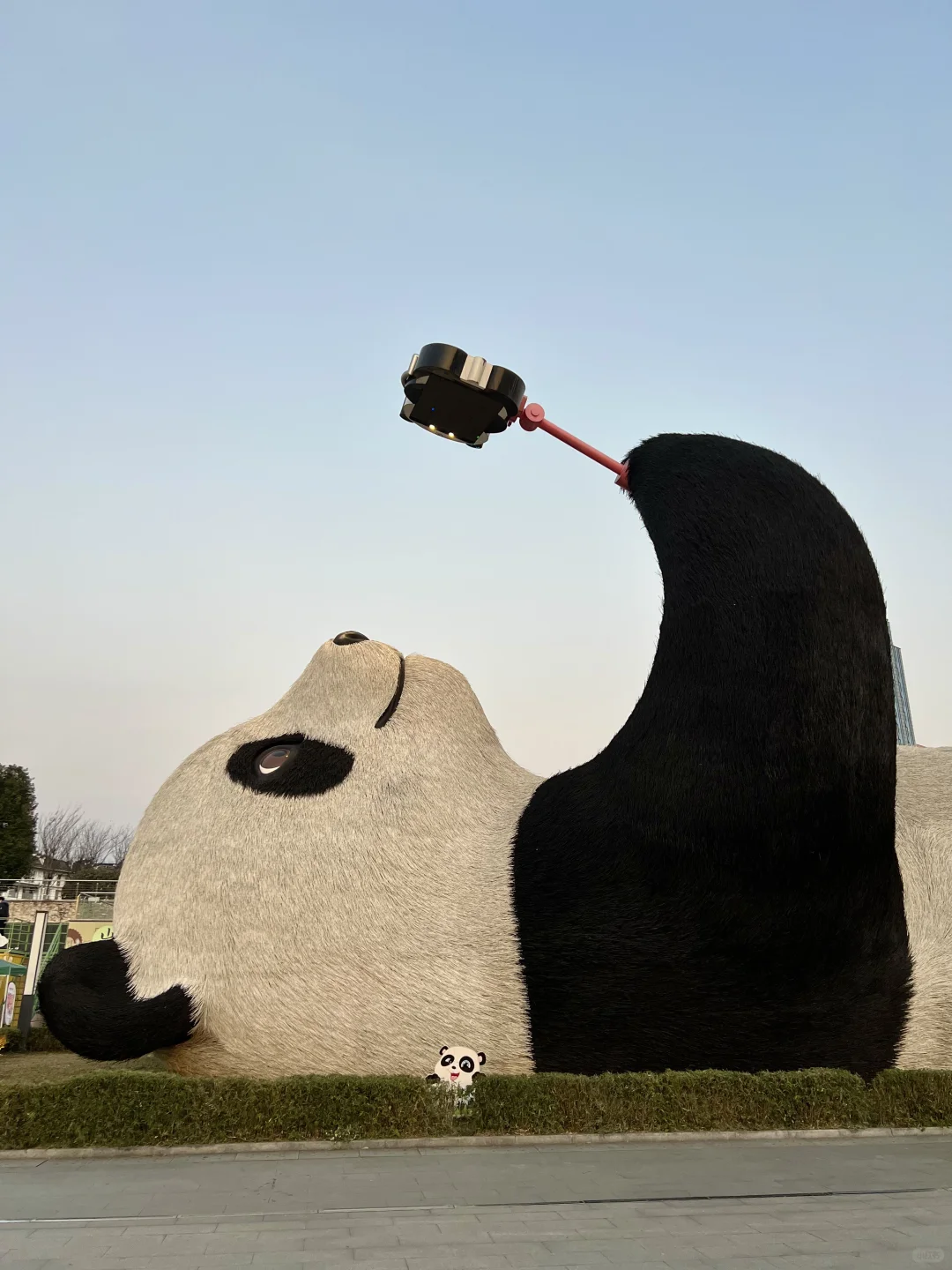 谁还没见过都江堰的水和小熊猫！1日游攻略