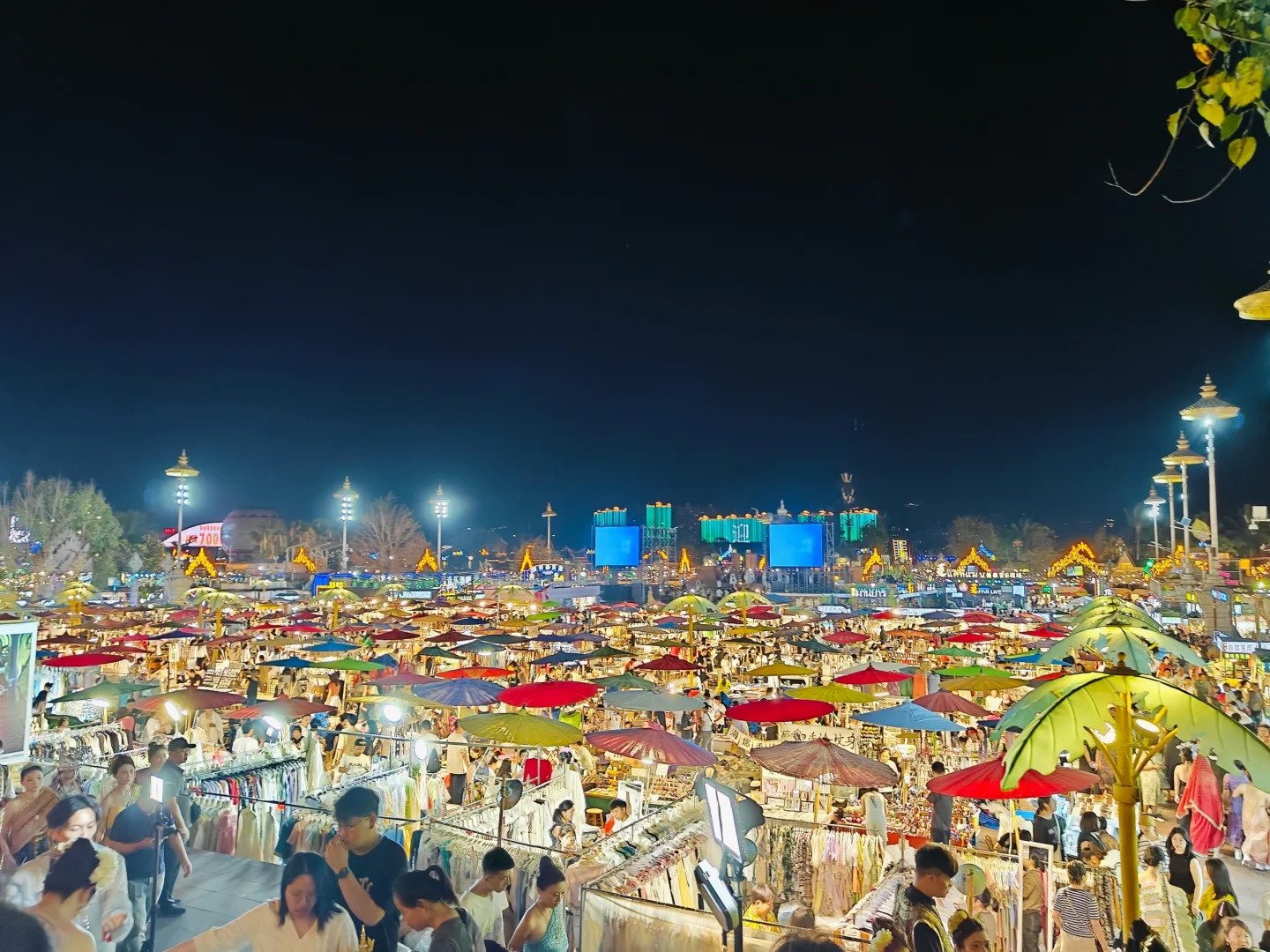 正在西双版纳，不吹不踩，实话实说