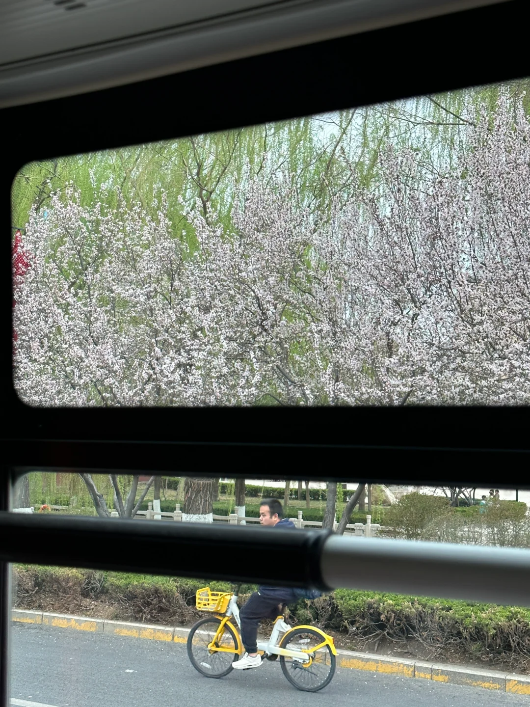 济南。。。果然最牛逼的地方都是免费的！（合集）