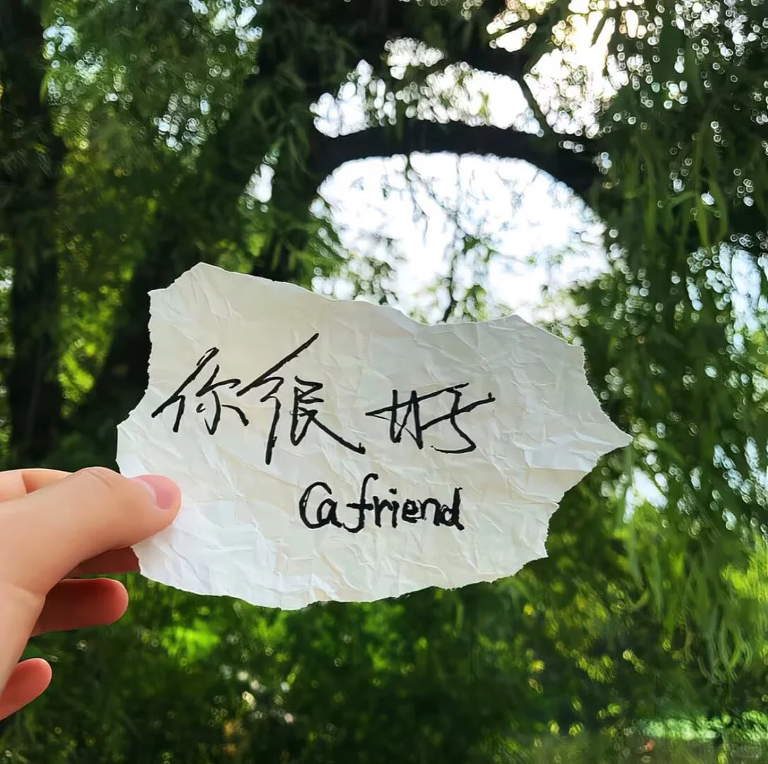 𝑾𝒆𝑪𝒉𝒂𝒕春日女头