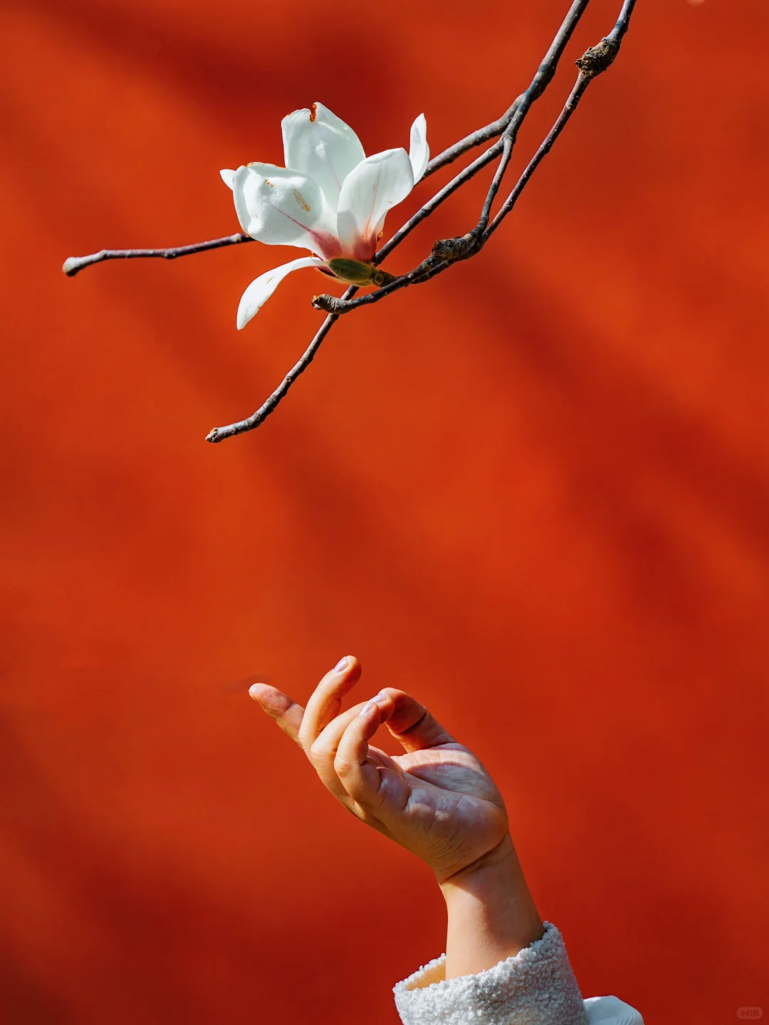 以为朝天宫已够美了，直到我去了一趟这里…