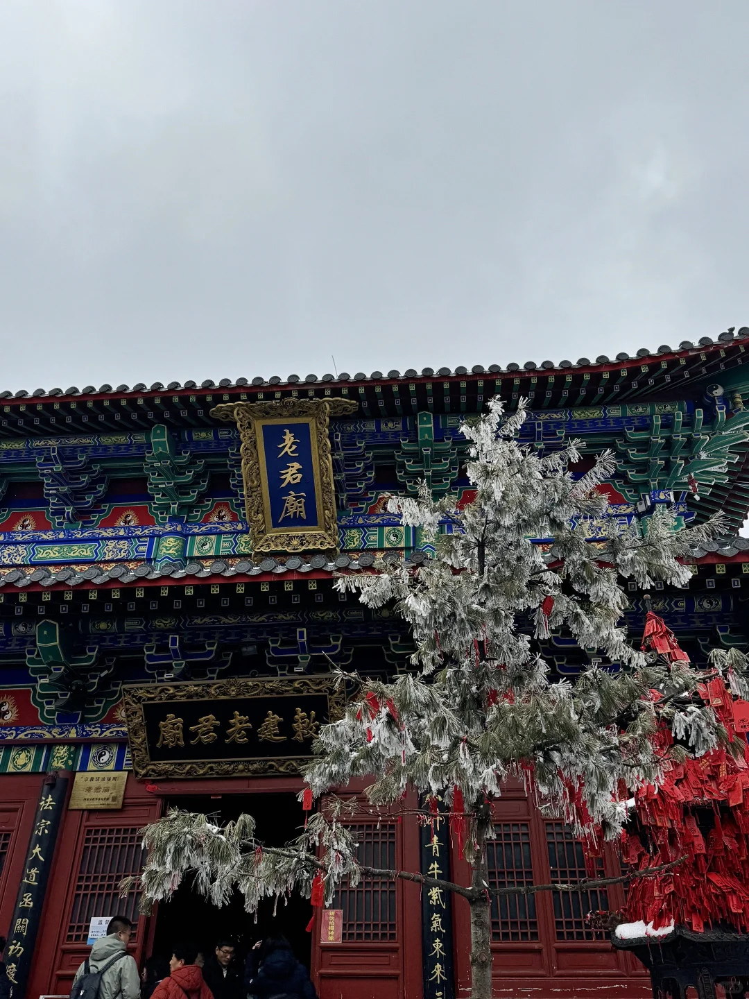 3.8号老君山实况,天气回暖了🌞:……