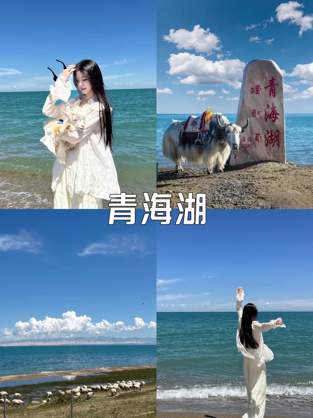青海已回,真心建议3-5月去,因为真的…