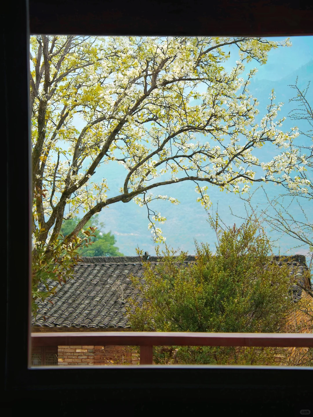 我在婺源上春山｜最美古村的春天真的好绝‼️