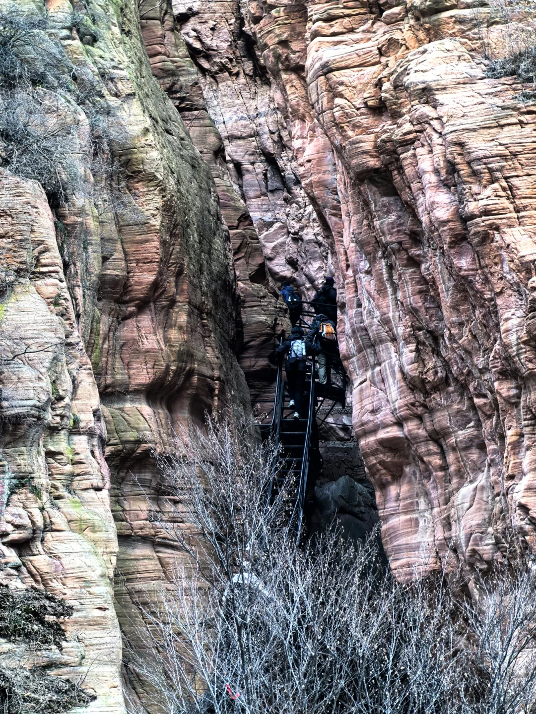邢台游--紫金山