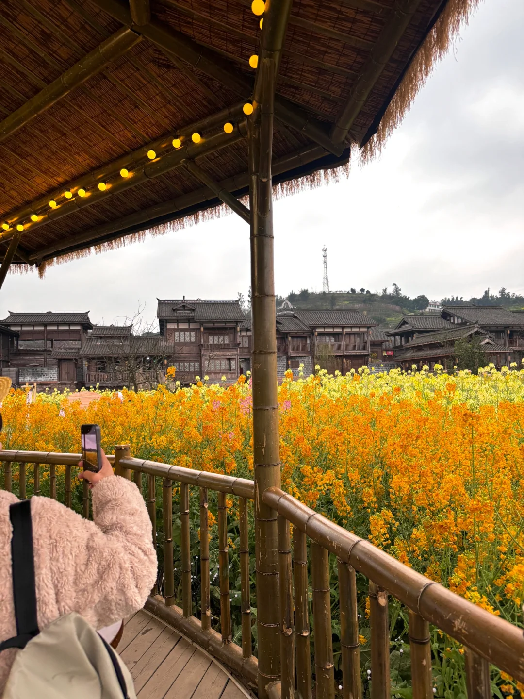 以为宜宾够美了...直到去了免费莫奈花园💐