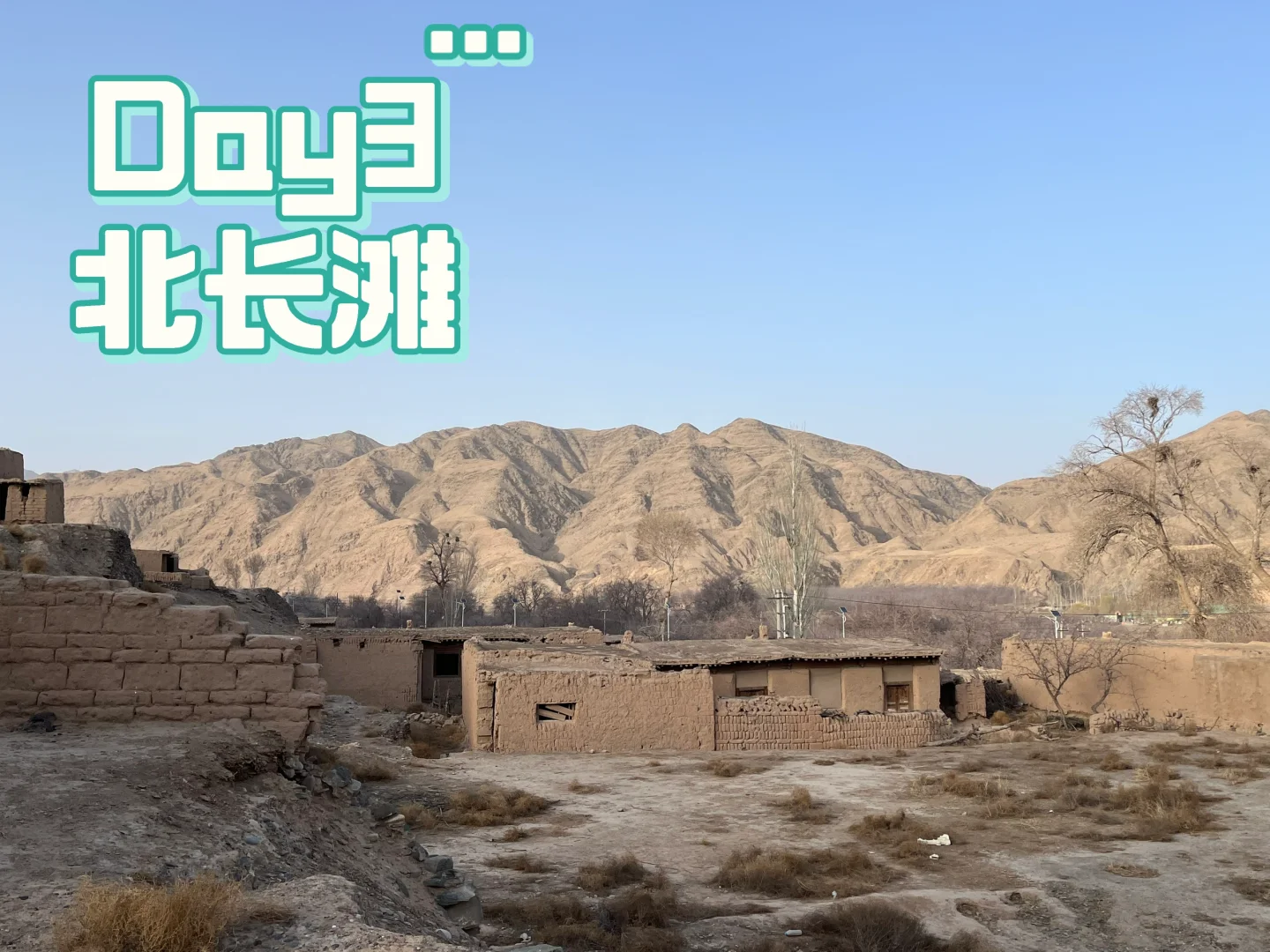 沙漠星星&宁夏中卫旅游攻略Day1