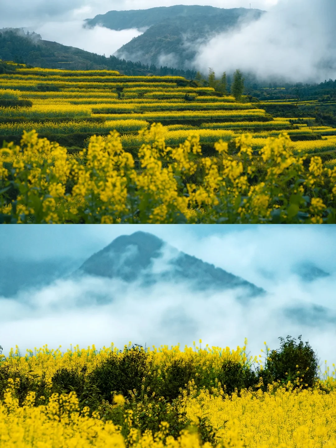 接下来的徽州，春和景明