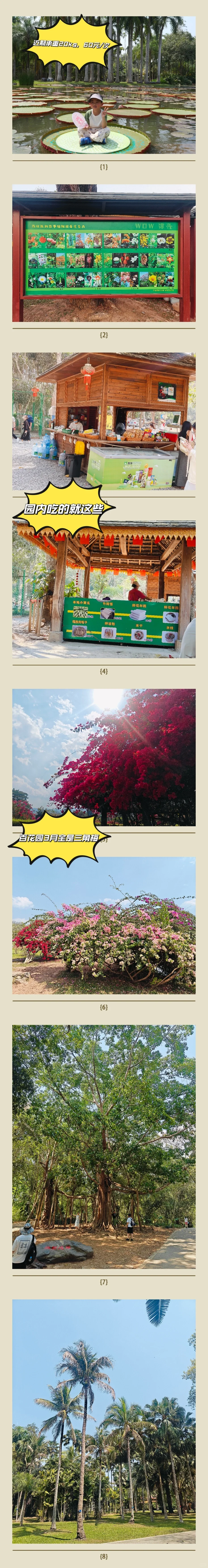 正在西双版纳，不吹不踩，实话实说