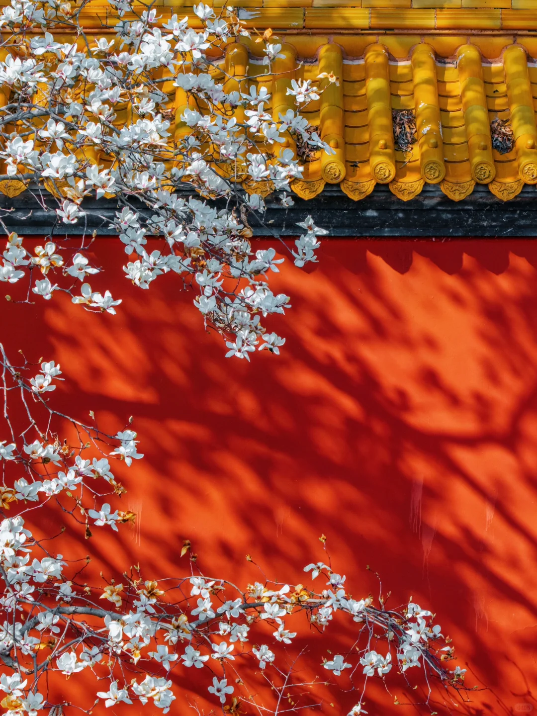 以为朝天宫已够美了，直到我去了一趟这里…