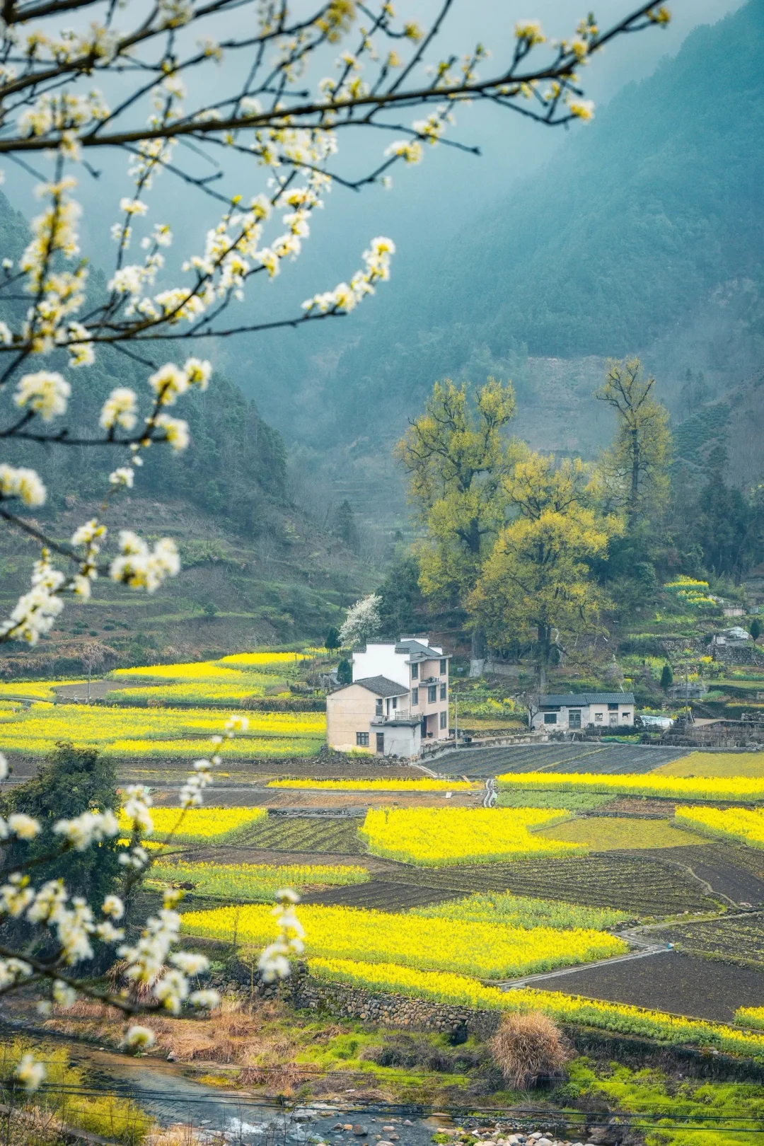 接下来的徽州，春和景明