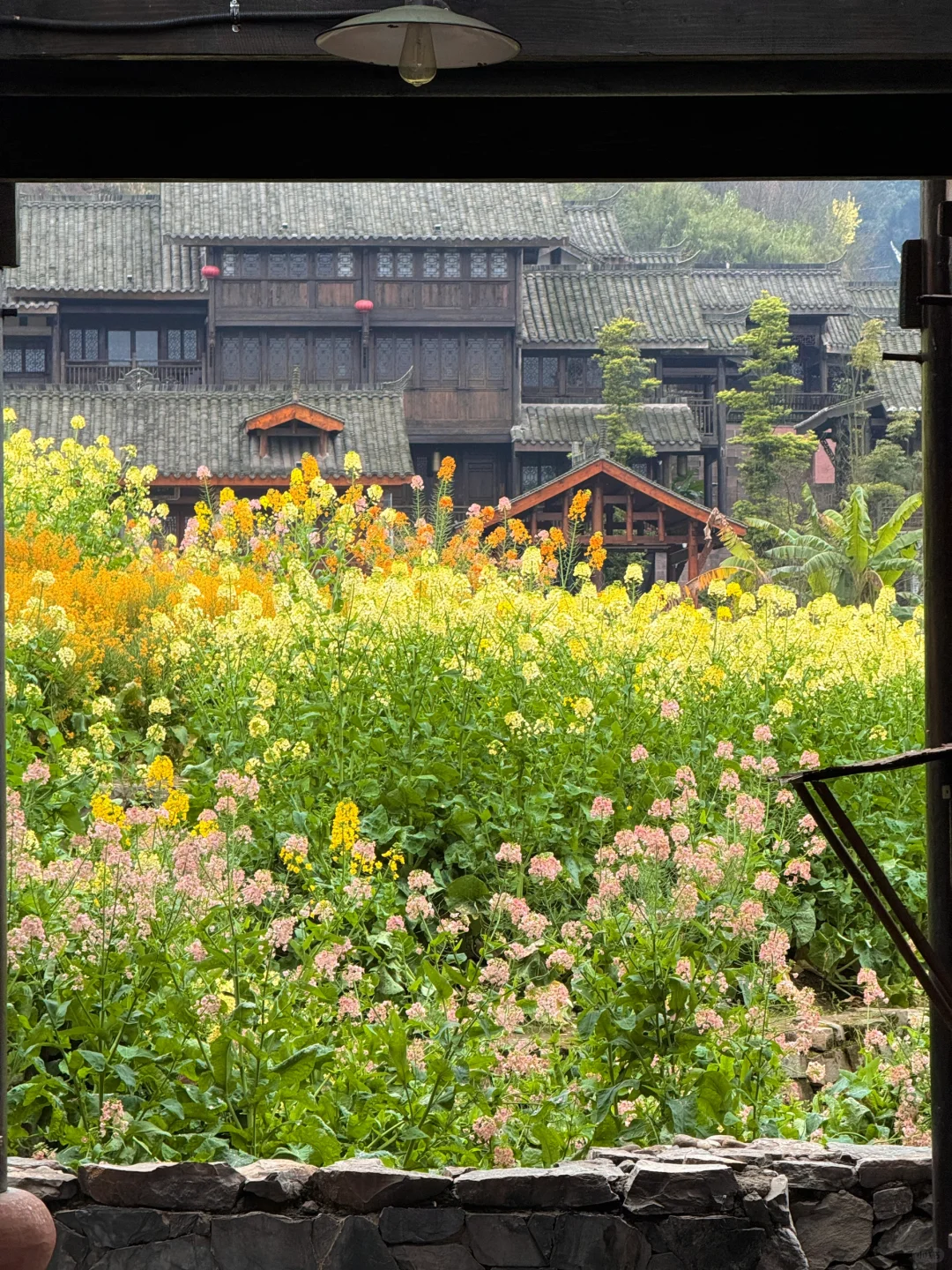 以为宜宾够美了...直到去了免费莫奈花园💐