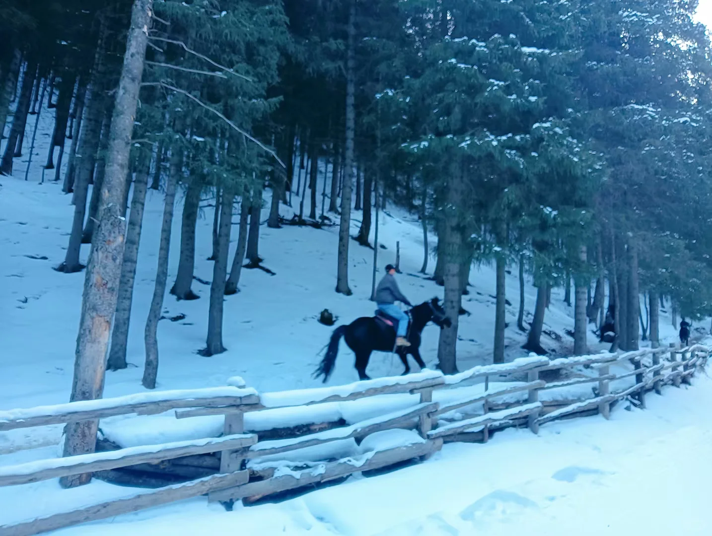 穷游党不要门票也能去天山？