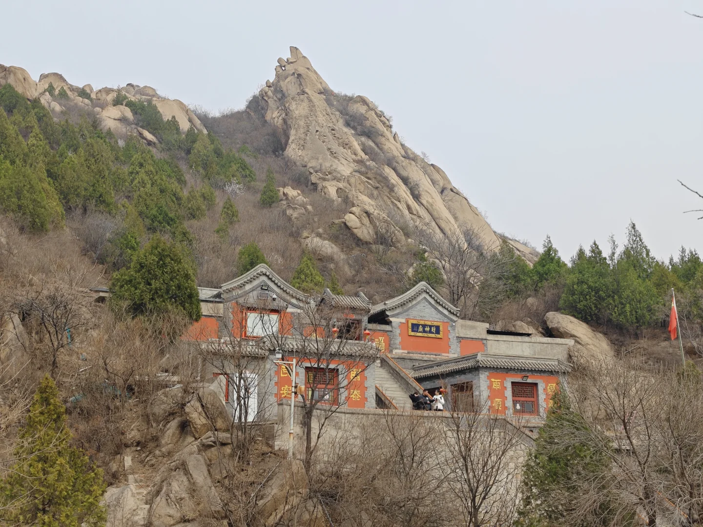 京郊赏花天花板，即将迎来盛花期