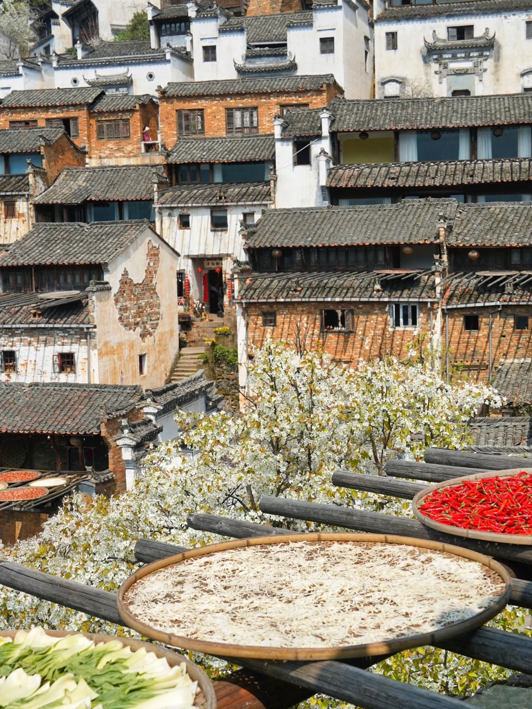 我在婺源上春山｜最美古村的春天真的好绝‼️