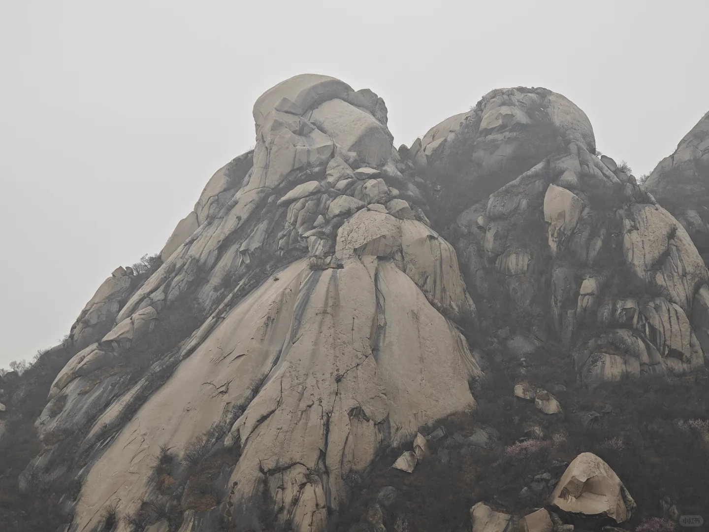 京郊赏花天花板，即将迎来盛花期