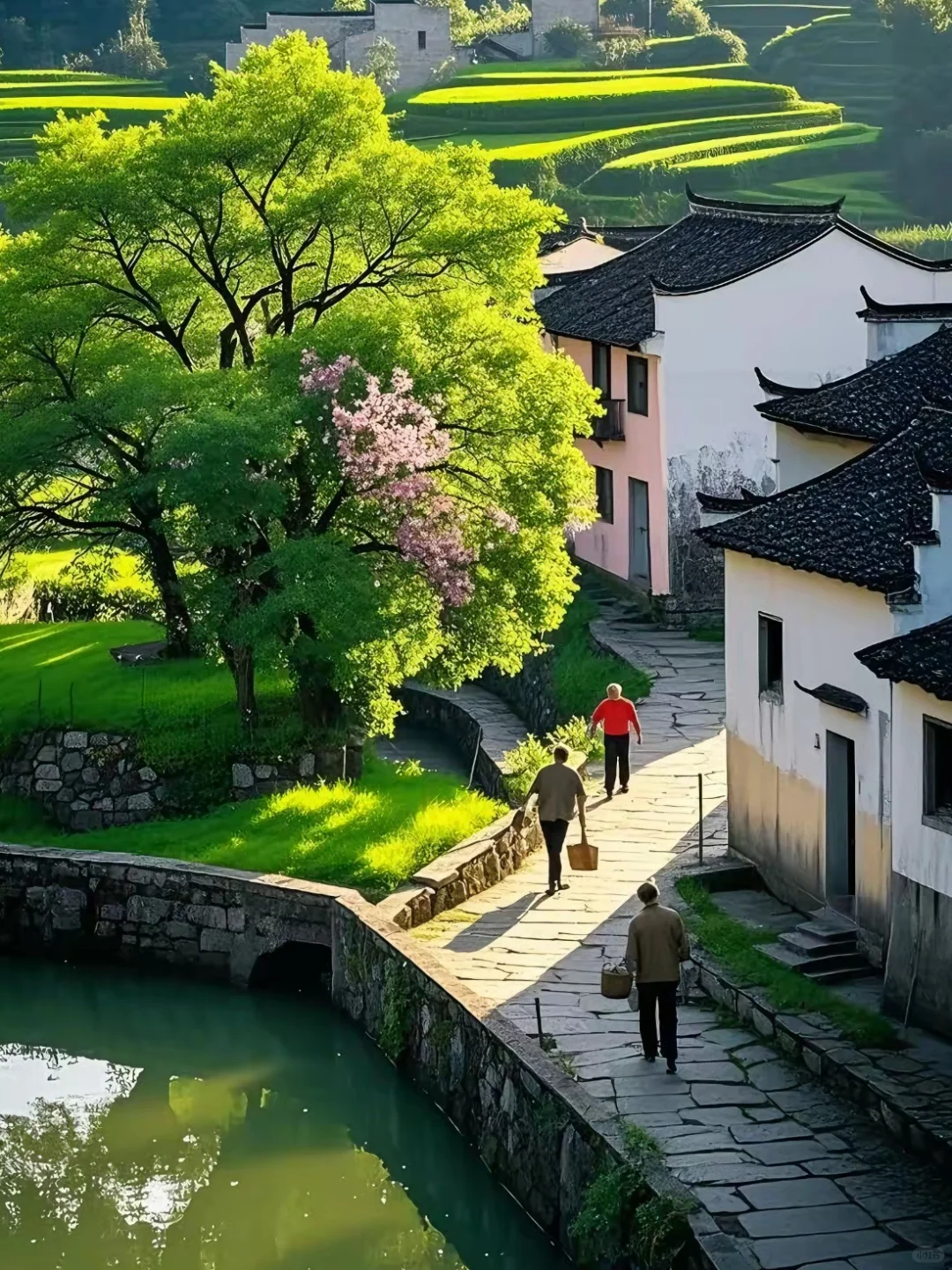 📸 皖南春日，闯入水墨画里的徽州古村