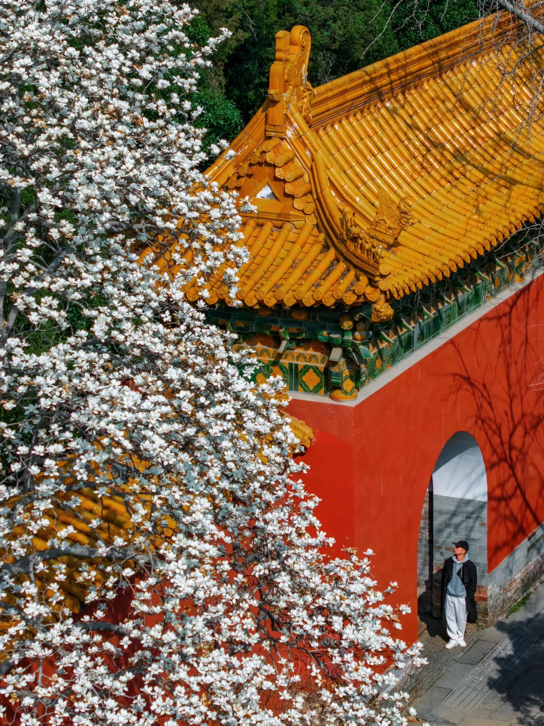 以为朝天宫已够美了，直到我去了一趟这里…