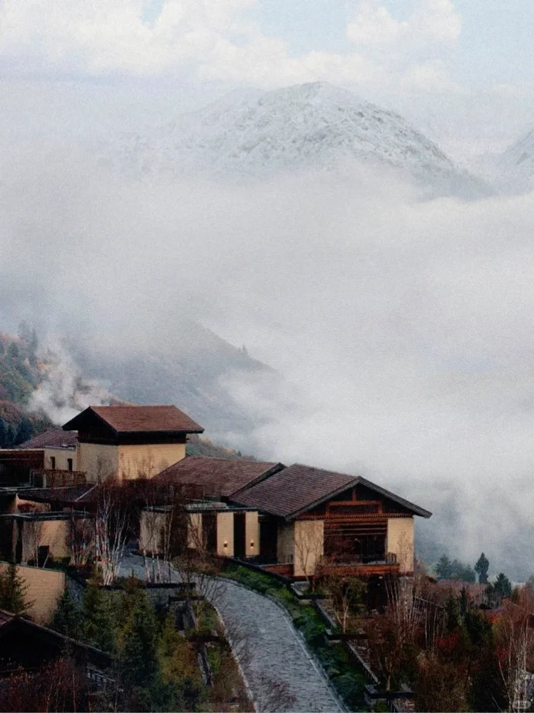 四姑娘山豪赌成功！美过瑞士🏞的夏日氧吧‼️