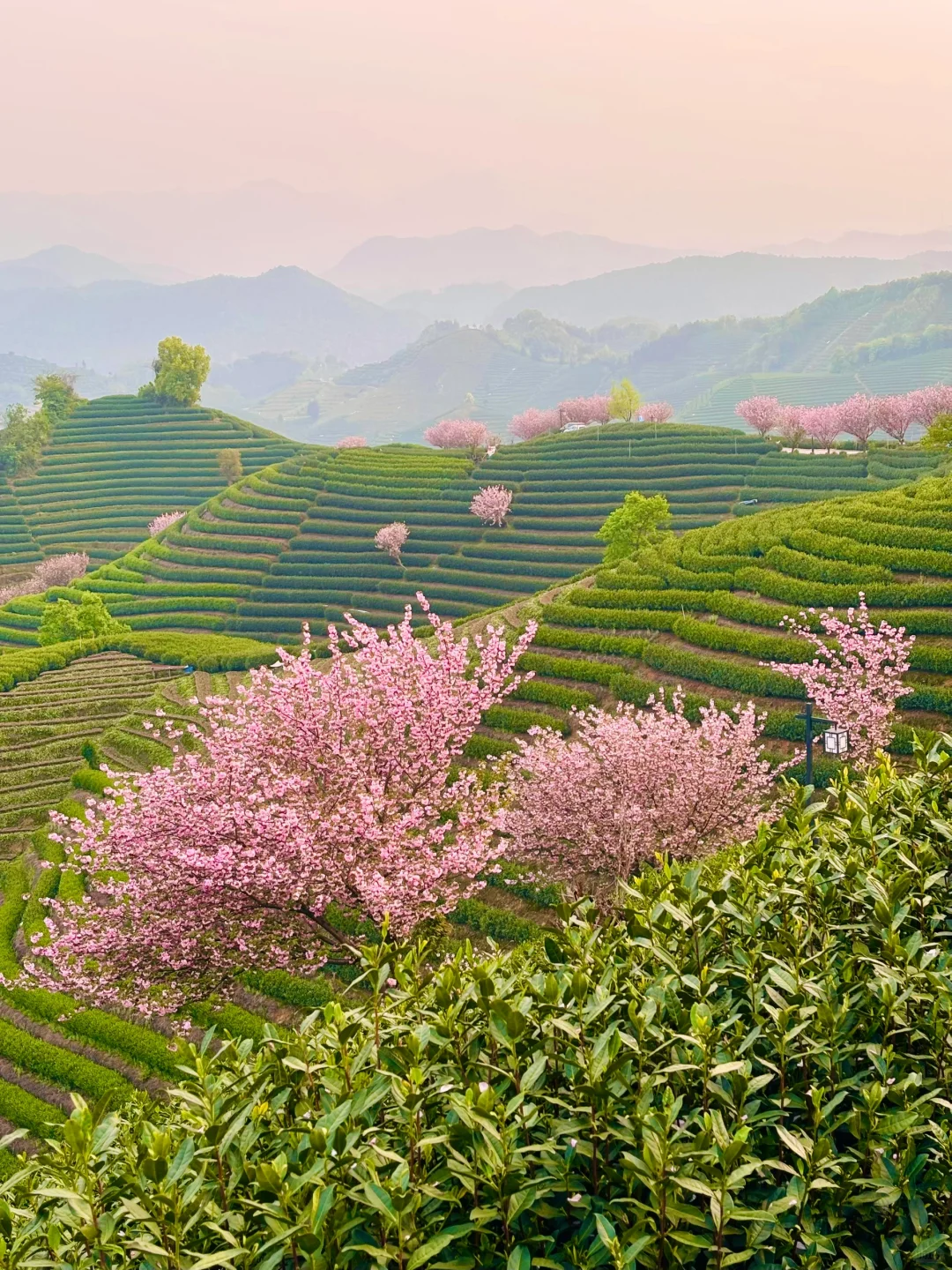 迄今为止,我最喜欢的春日小城出现了!!!