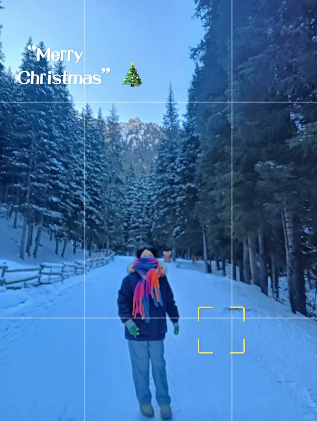 穷游党不要门票也能去天山？