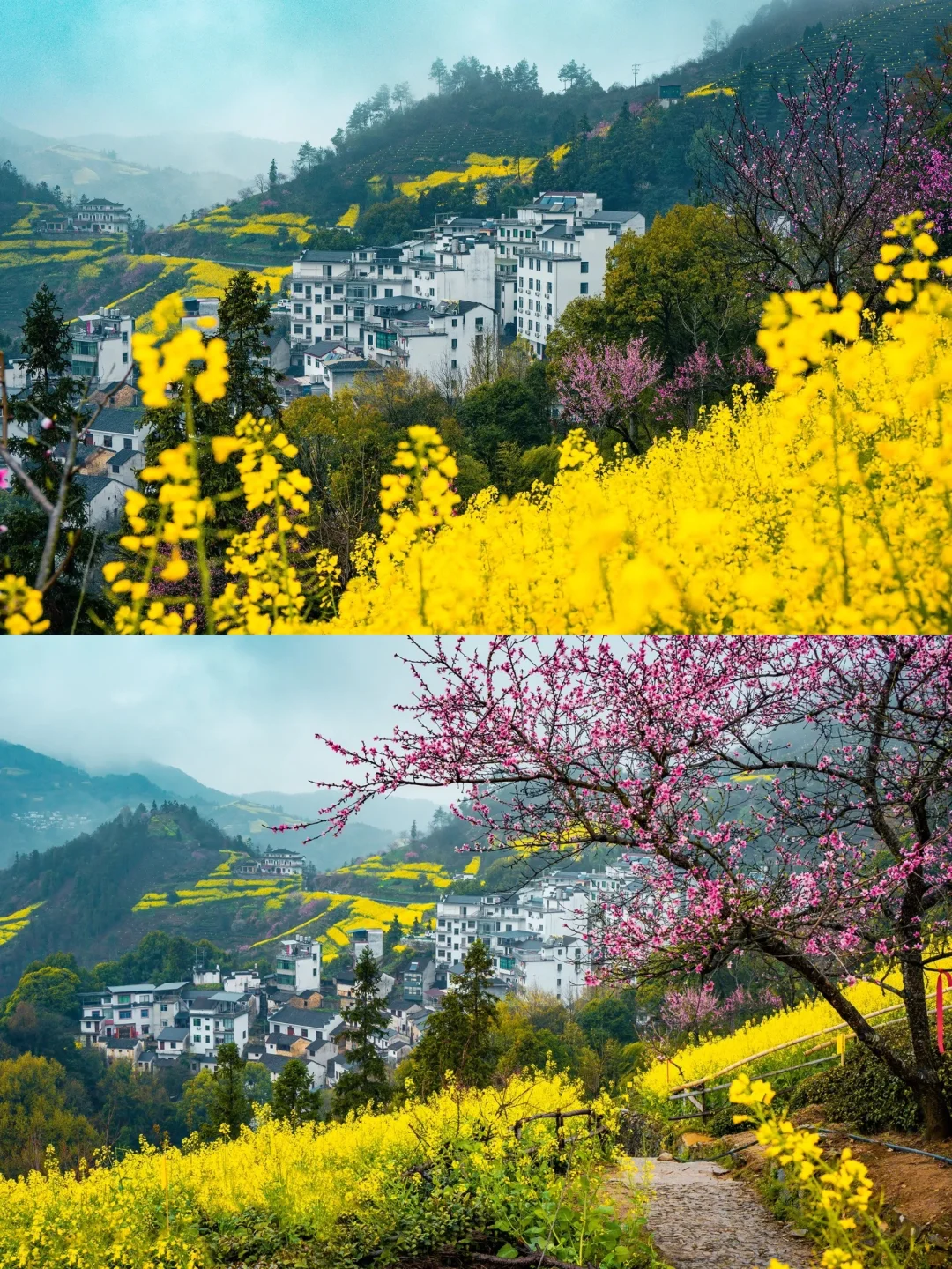 接下来的徽州，春和景明