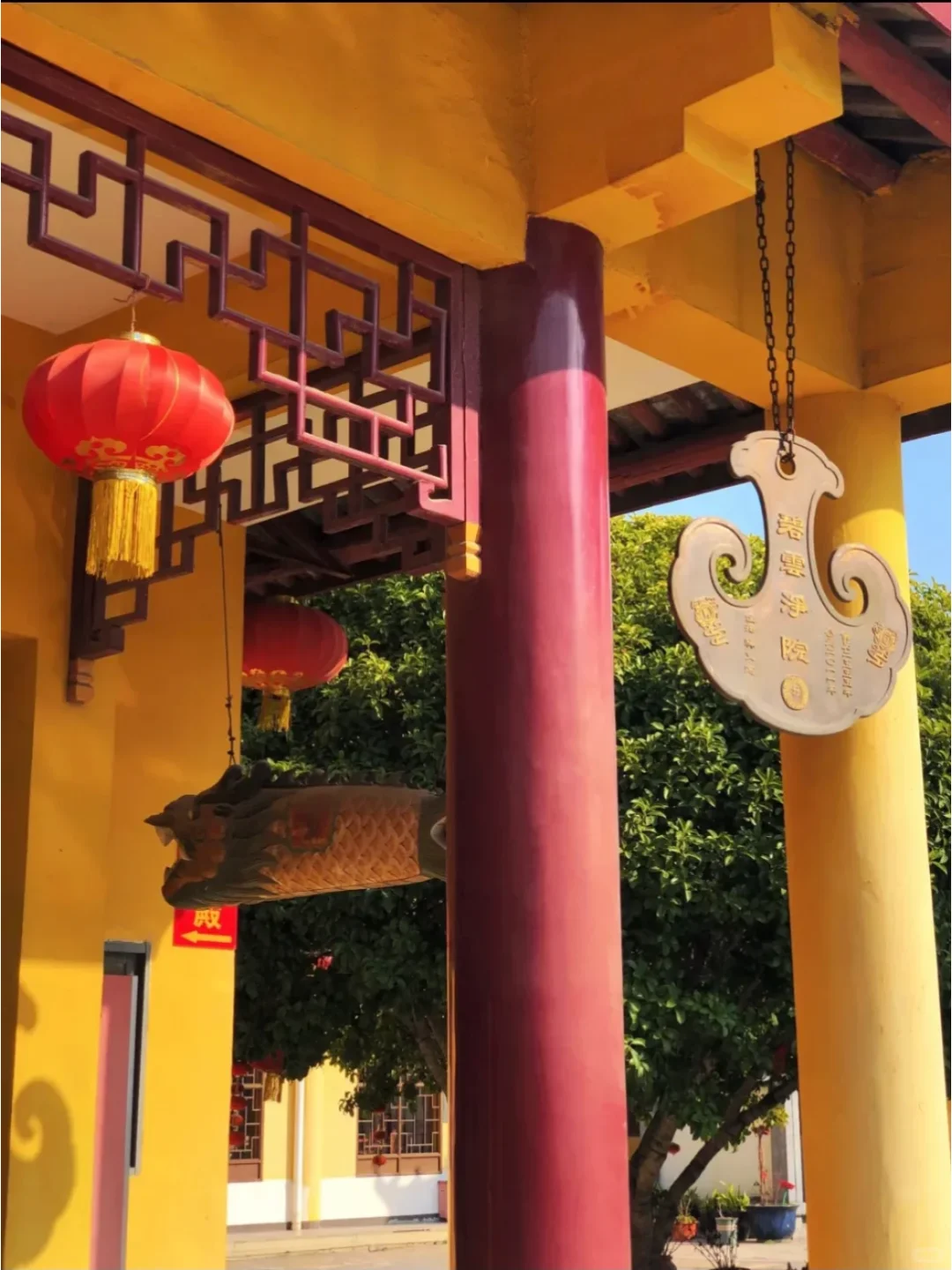 探秘普陀山碧云净院：禅意秘境全攻略