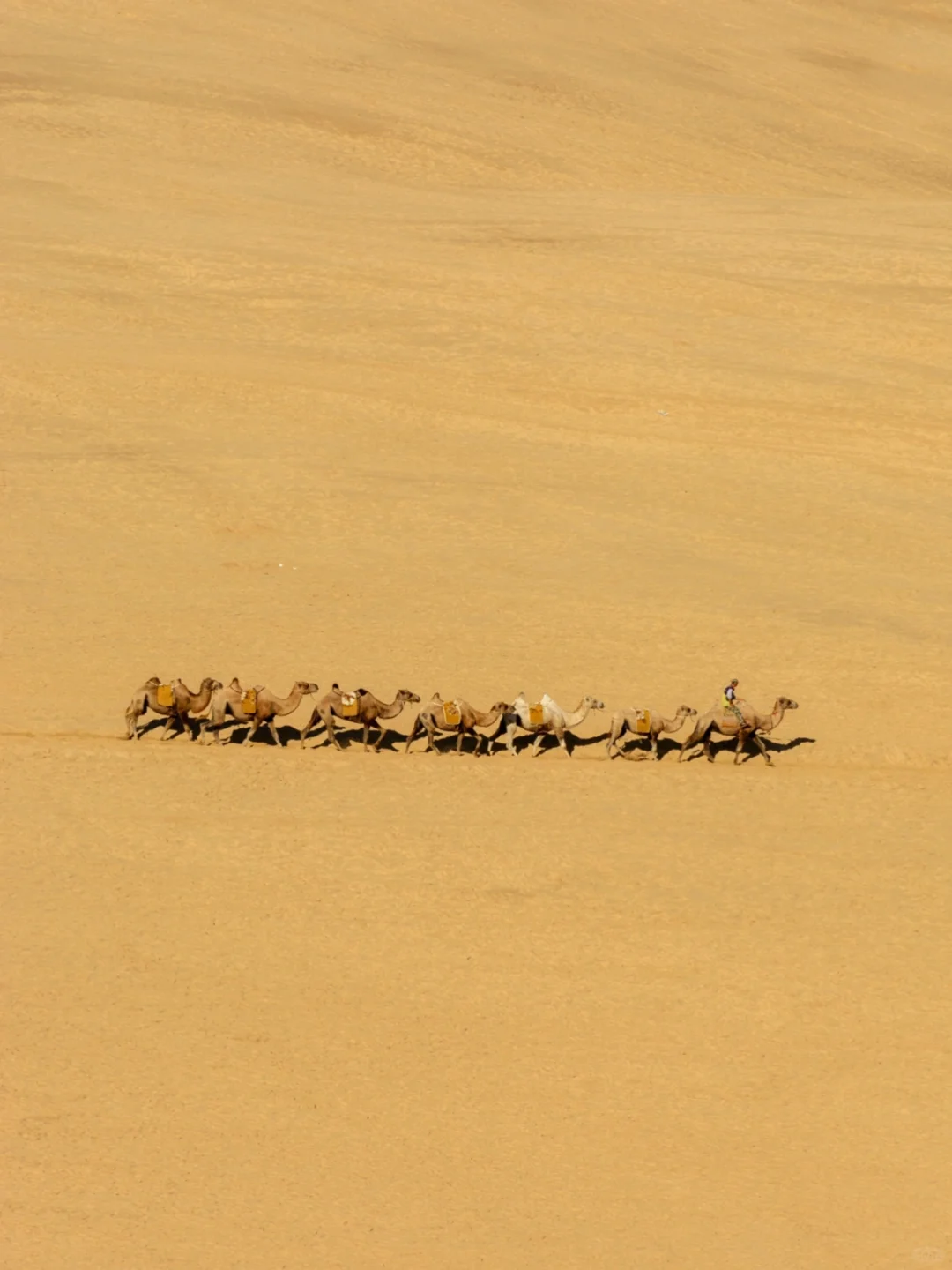 小红书跟风最成功的一次❗️不是瑞士是内蒙古