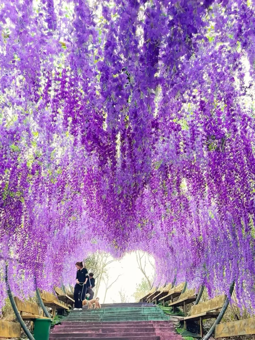 南京1小时高铁直达|这个被低估的宝藏景点